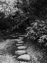 A DIY garden path made from natural stones winding through a lush green garden with wildflowers peeking through.