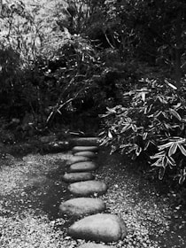 A natural stone walkway winding through a landscaped garden filled with native plants.