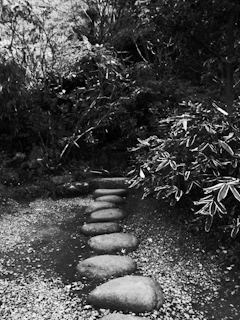A DIY garden path made from natural stones winding through a lush green garden with wildflowers peeking through.