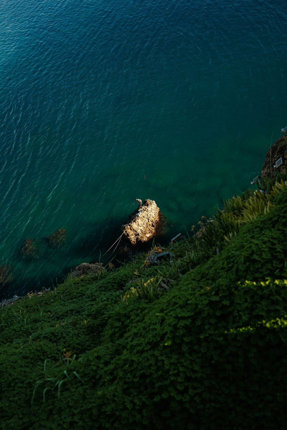 a body of water surrounded by lush green grass