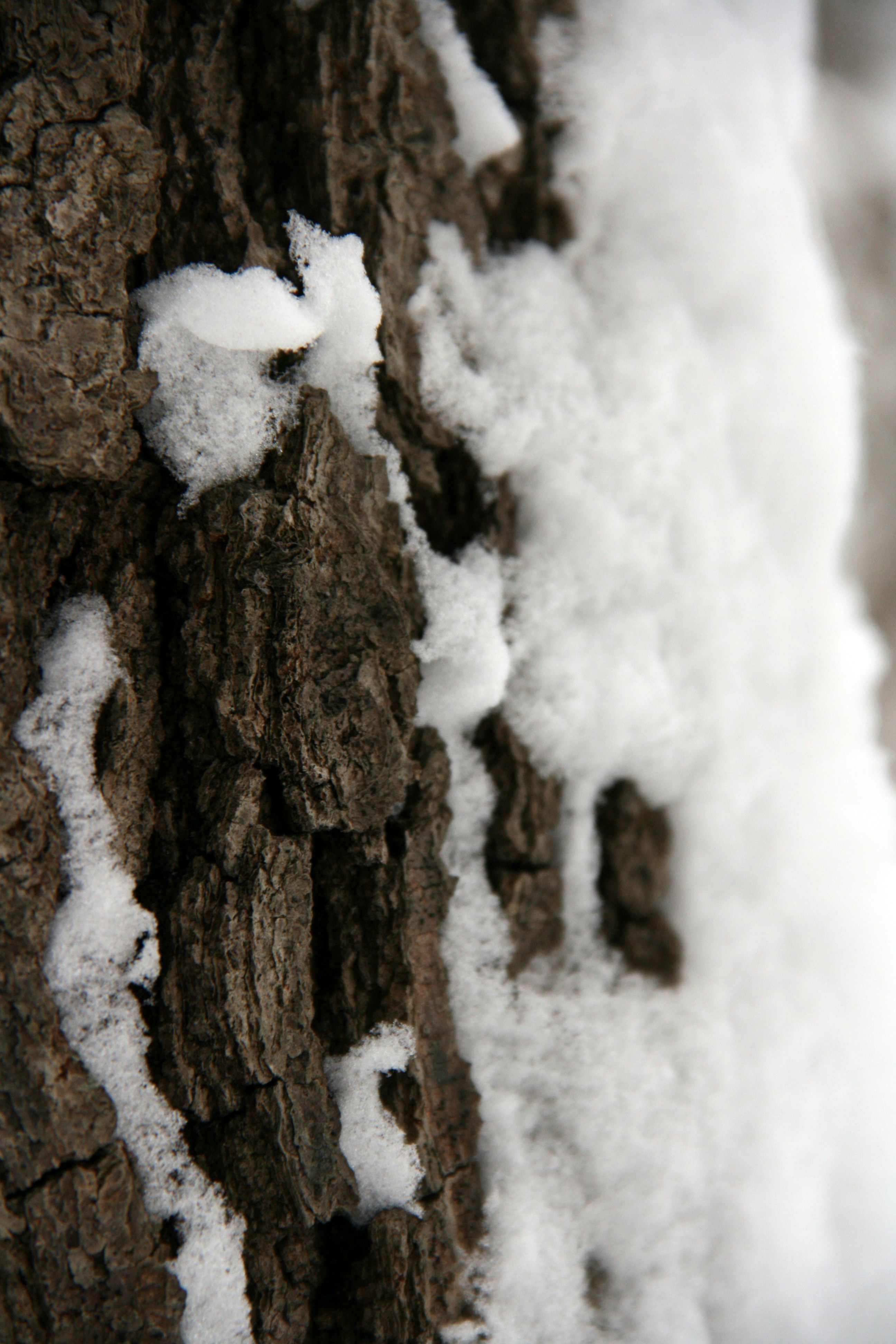 Photo by jmadventures