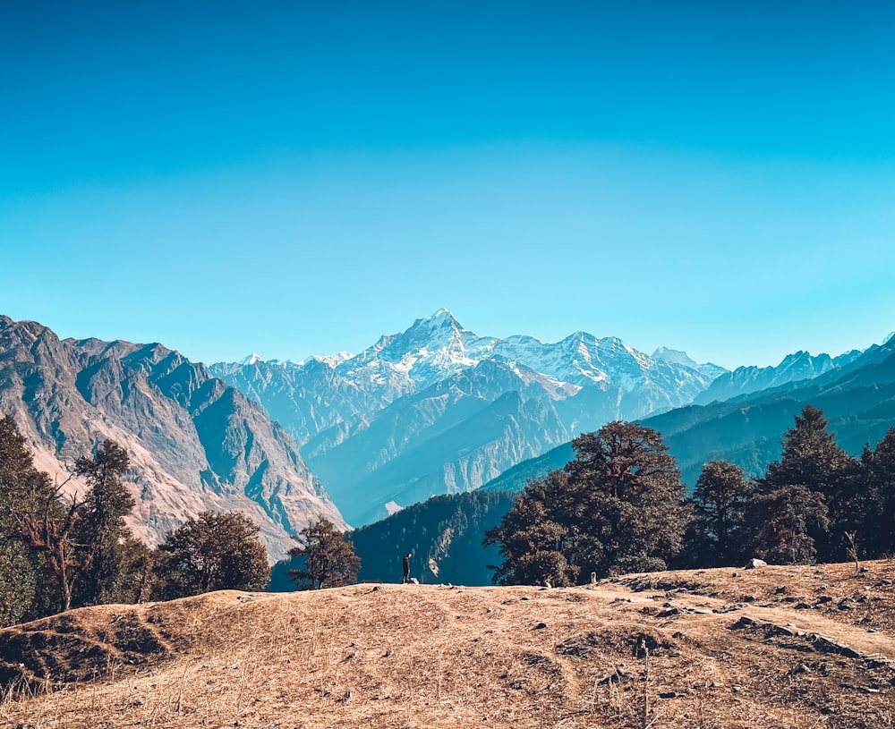 a view of a mountain range with trees in the foreground