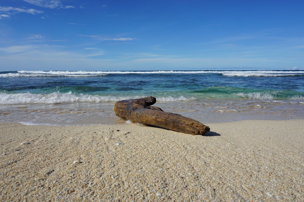 a log laying on top of a sandy beach