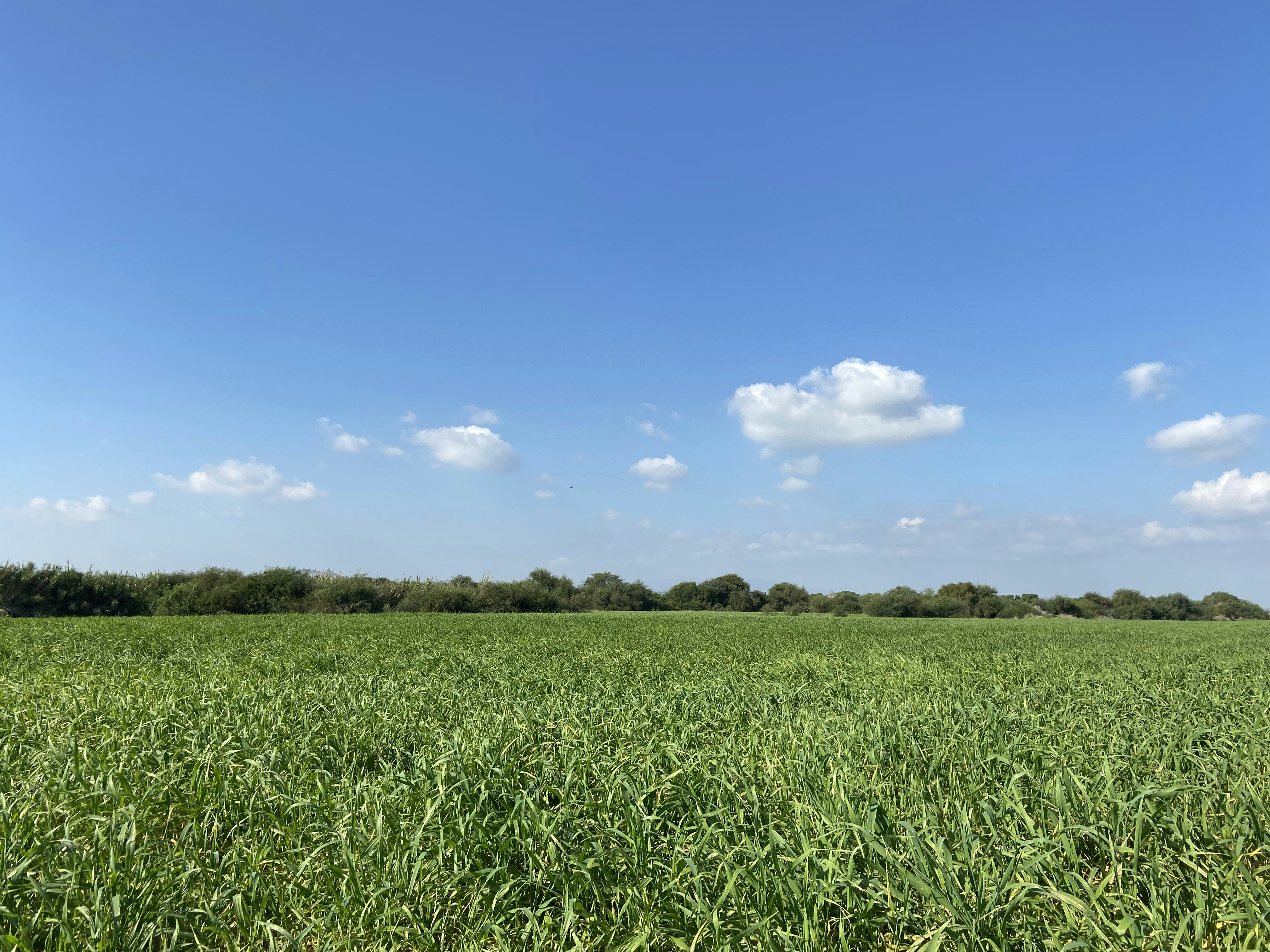 Photo by stephanie_t