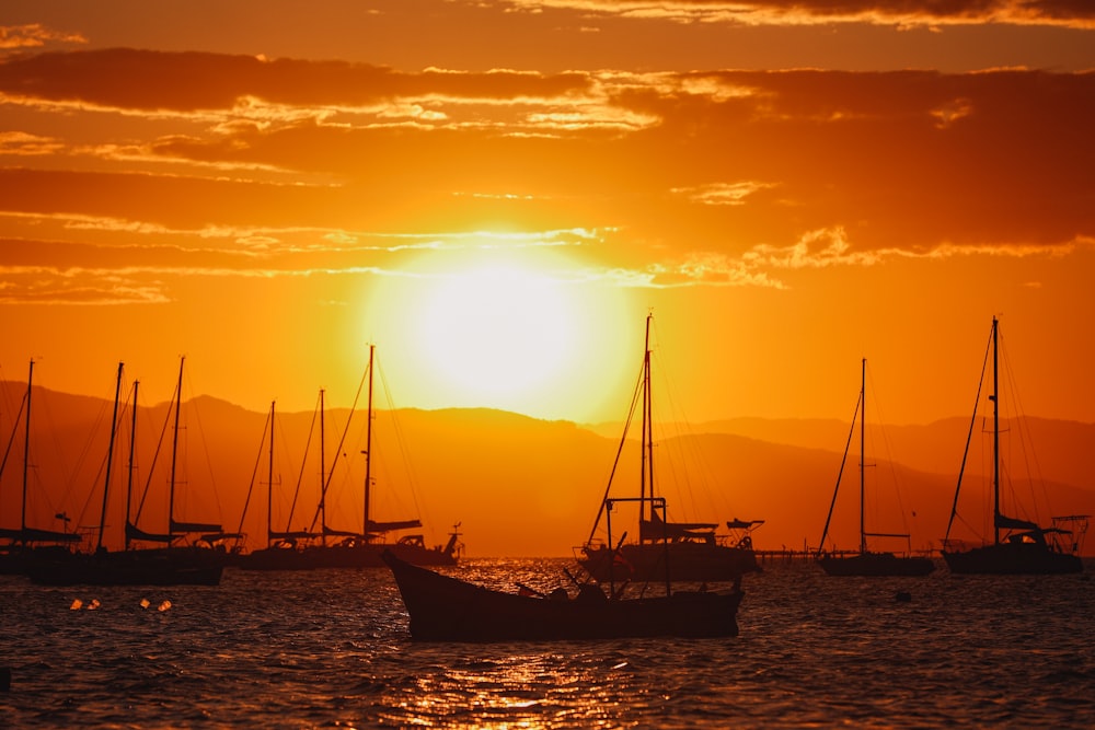 a group of boats floating on top of a body of water