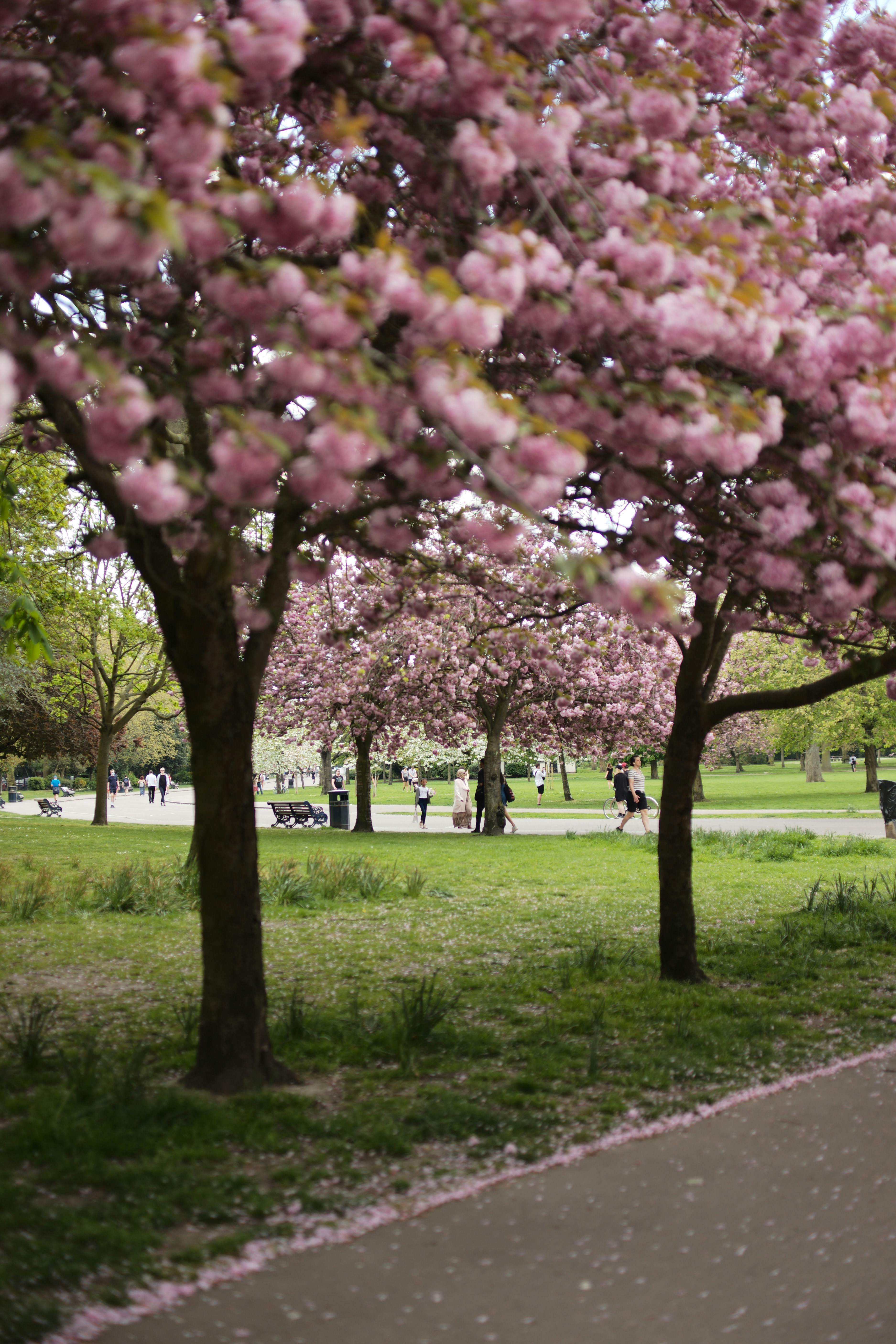 Photo by joshwilburne