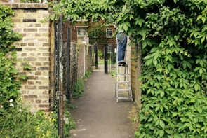 An outdoor path is flanked by brick walls and heavy green foliage, leading to a house in the background. A person can be seen on a ladder trimming or managing the greenery on one side.