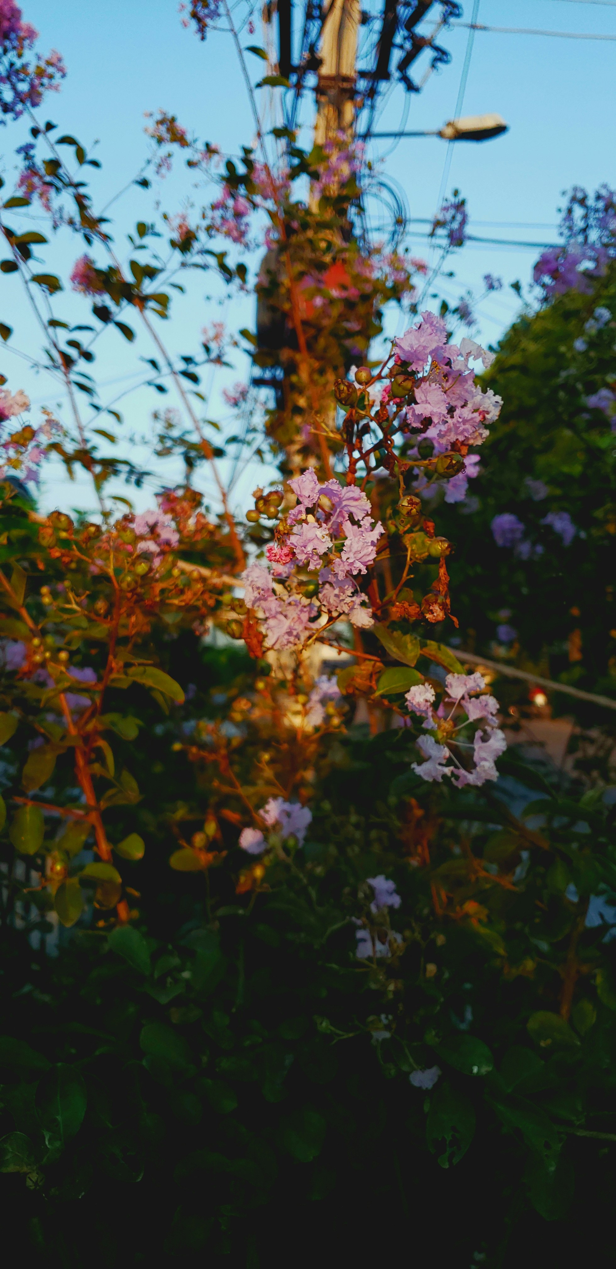 photo-1673013300632-88ddb30fa223?ixid=M3wxMjA3fDB8MXxzZWFyY2h8N3x8bmF0dXJlJUUyJTgwJTk5cyUyMGdhcmRlbiUyMGNiZHxlbnwwfHx8fDE3NTM1MDI3NDl8MA\u0026ixlib=rb-4.1.0