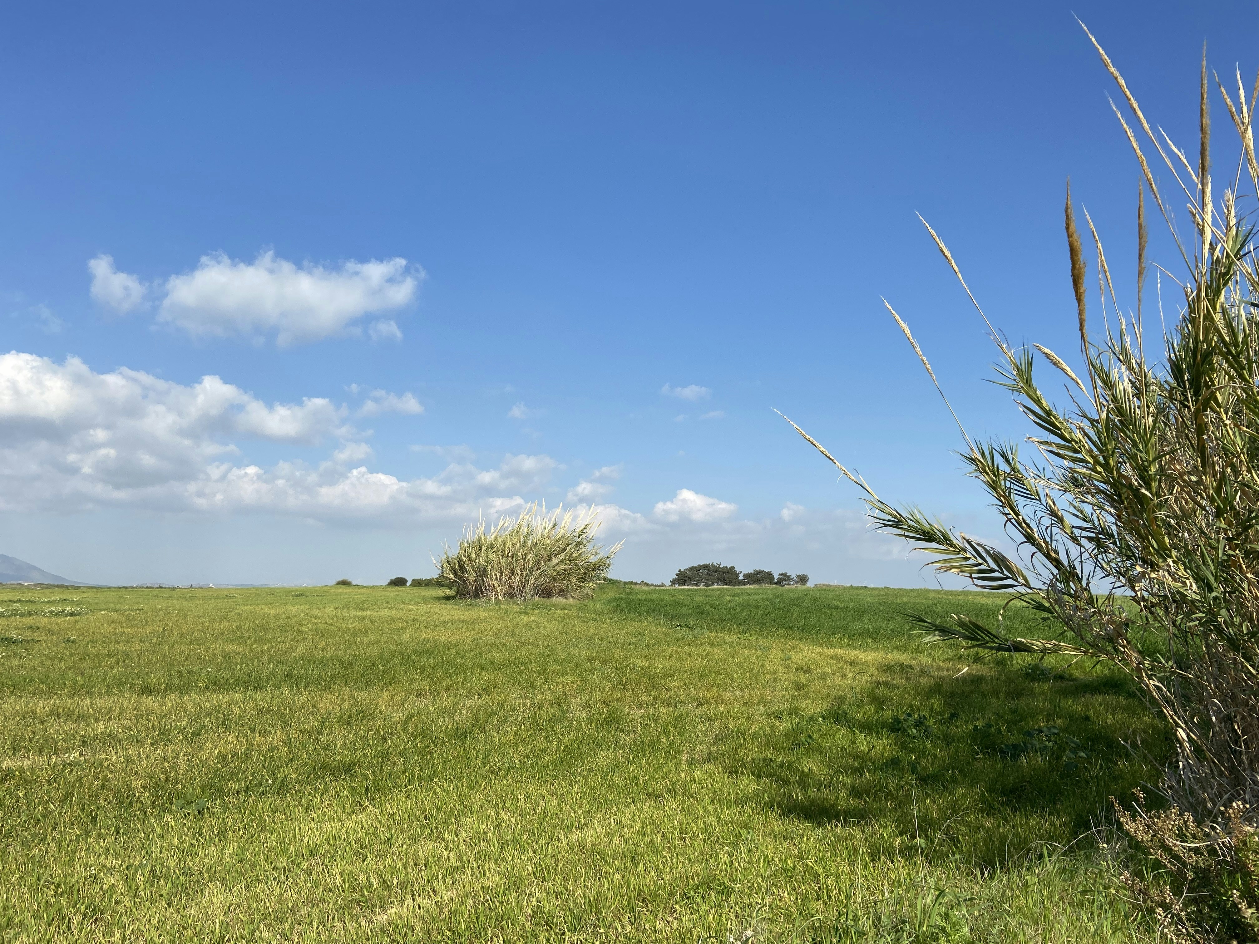 Photo by stephanie_t