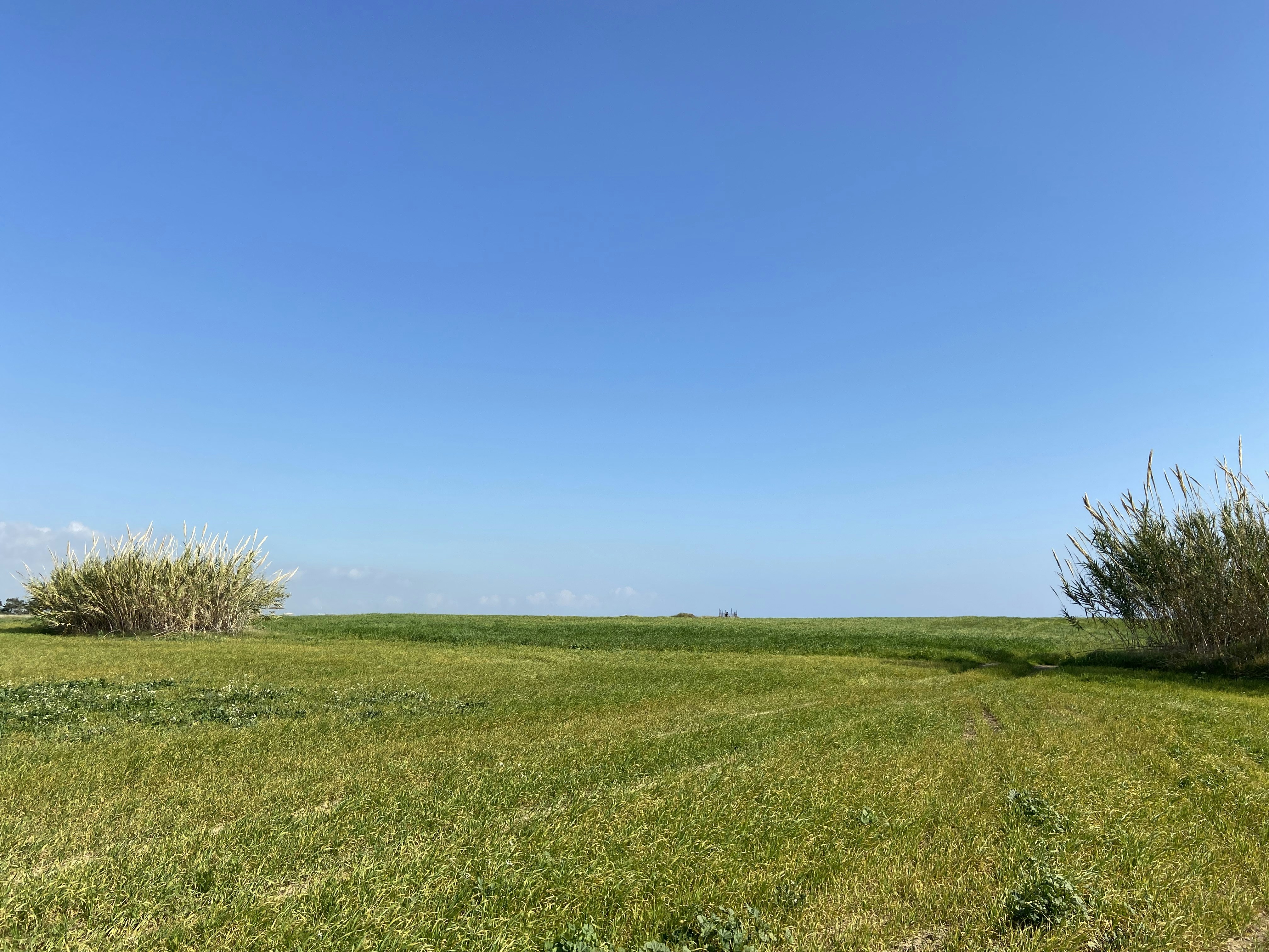 Photo by stephanie_t