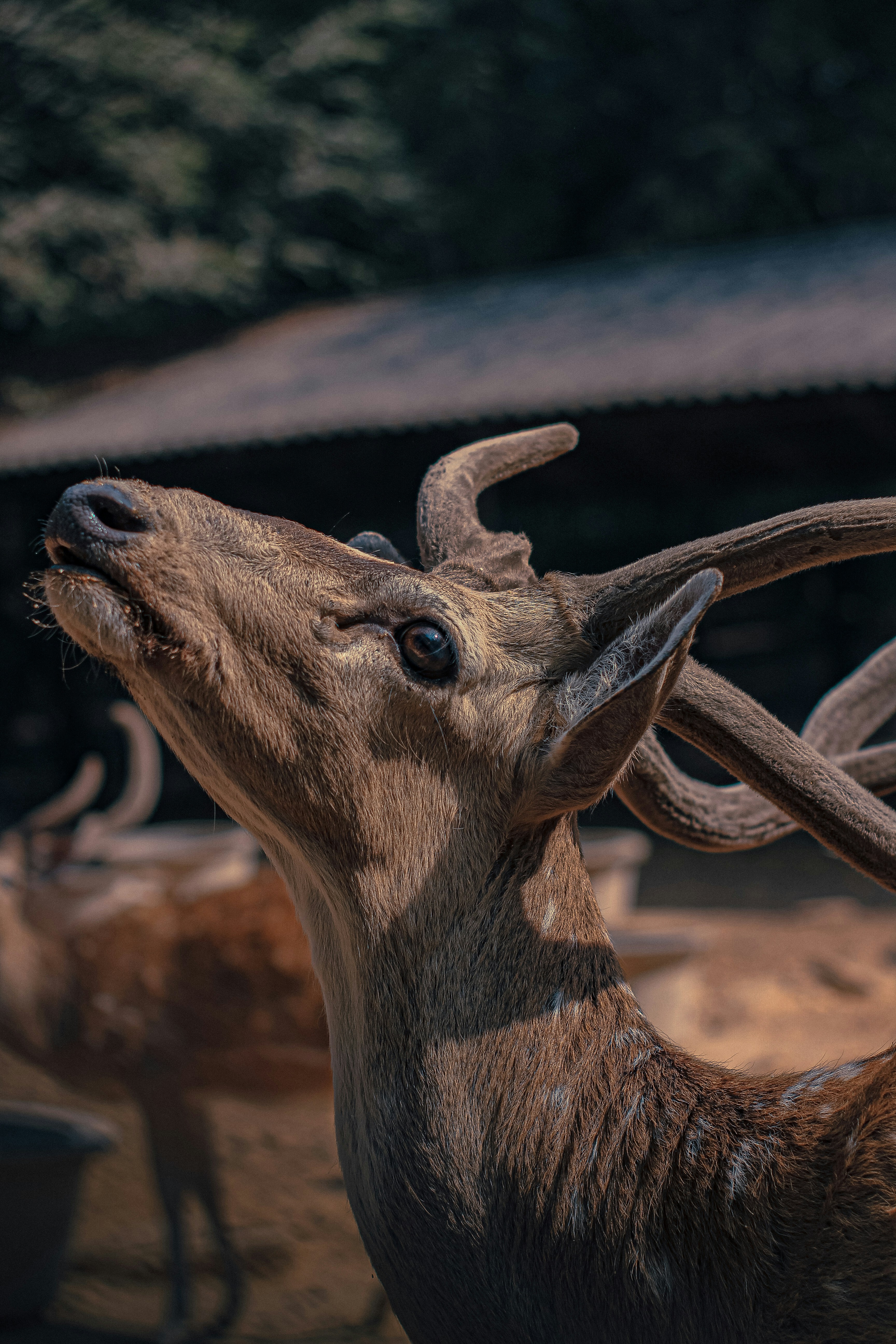 Photo by tusharranjan_