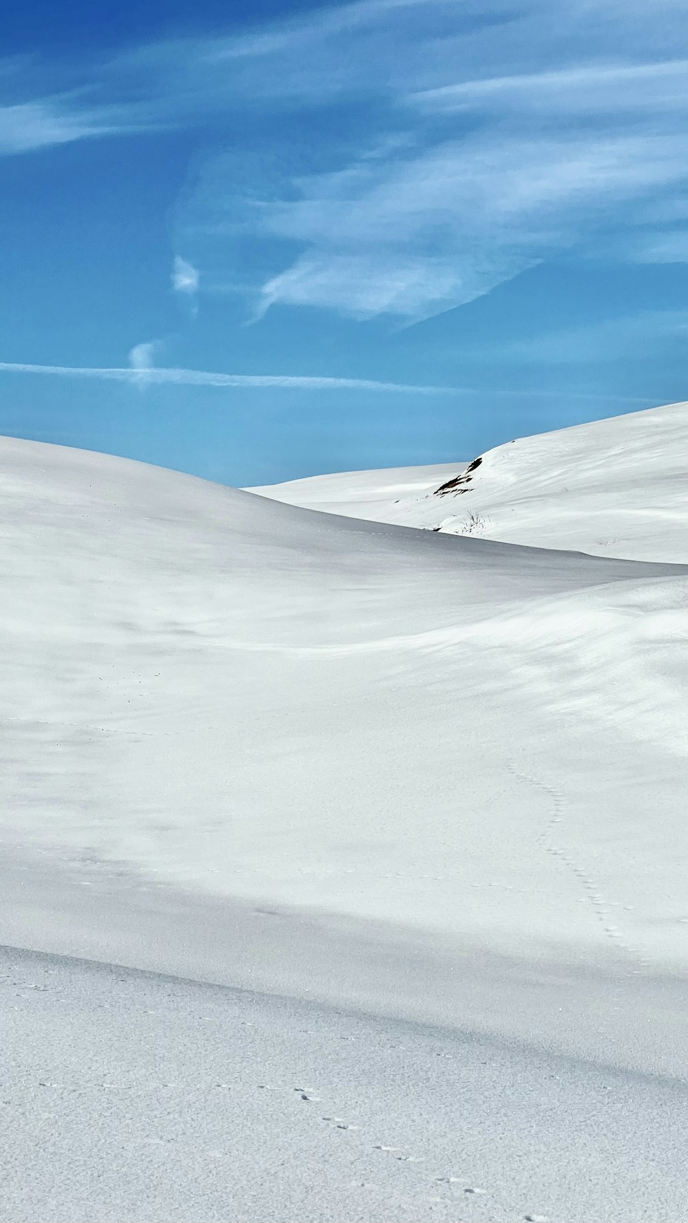 Eine Person, die über ein schneebedecktes Feld geht