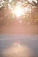 Wide shot of an outdoor scene with natural light filtering through trees.