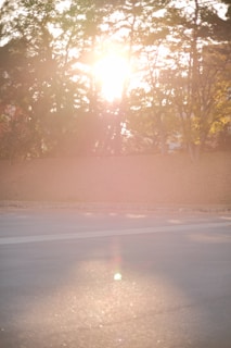 Wide shot of an outdoor scene with natural light filtering through trees.