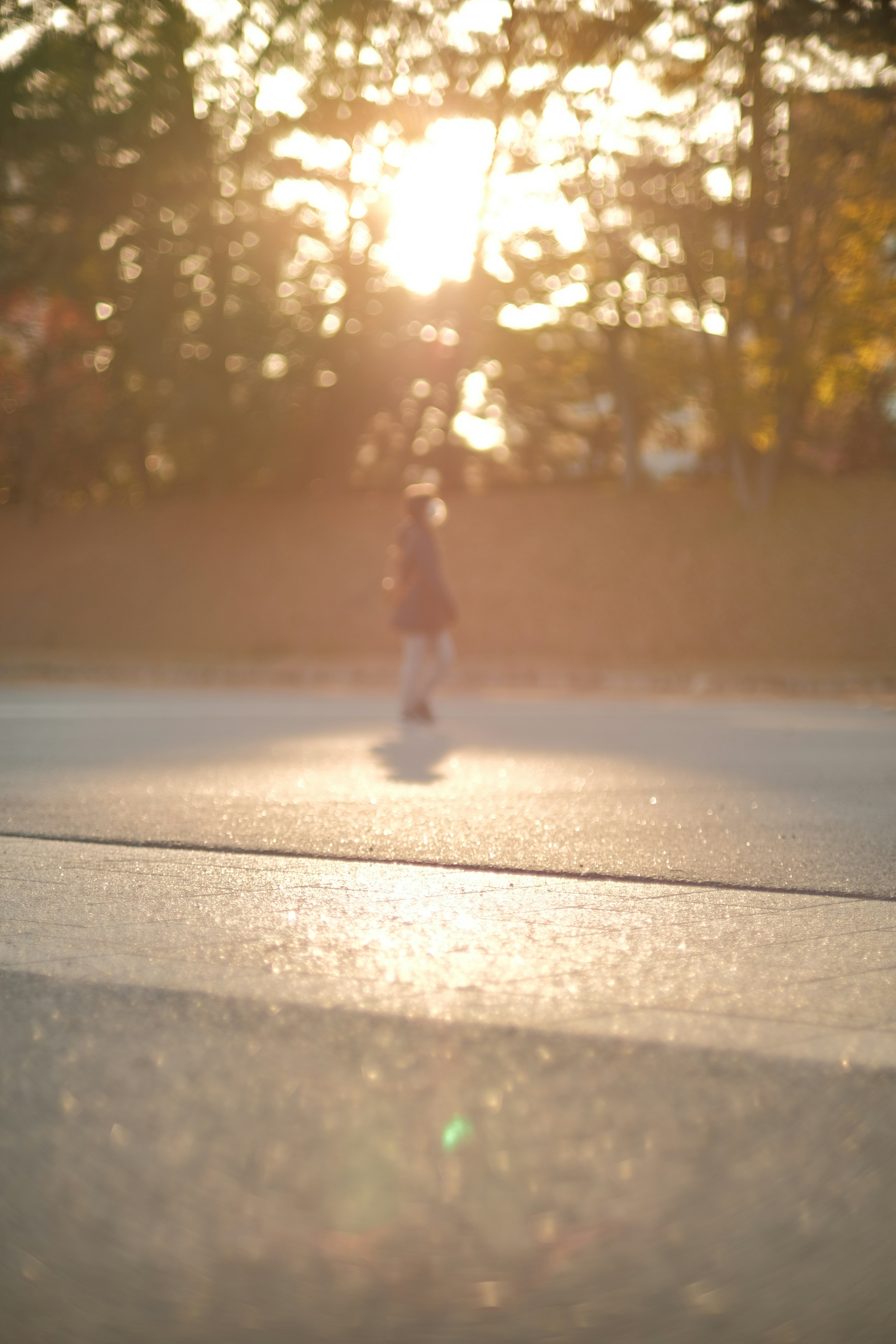 Camera on tripod pointed at golden sunset through trees, cinematic depth of field, warm atmospheric light