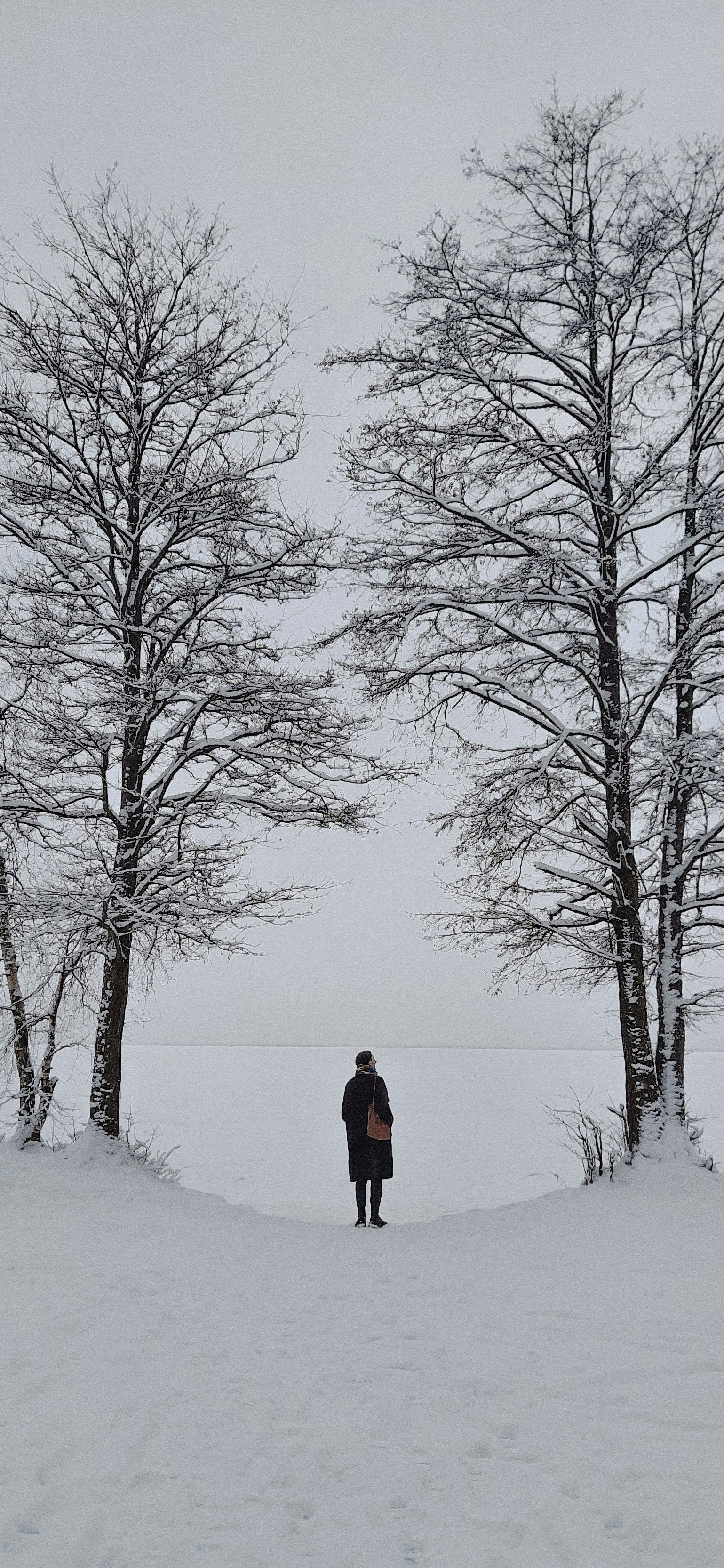 Photo by romanovandrew