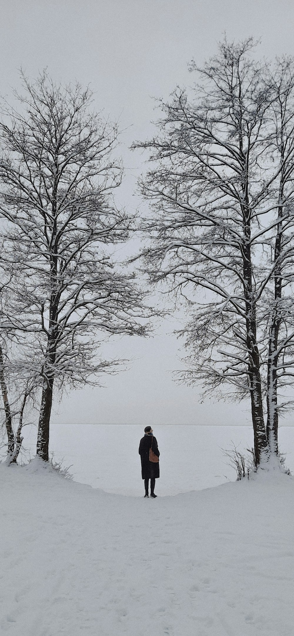 a person standing in the snow between two trees