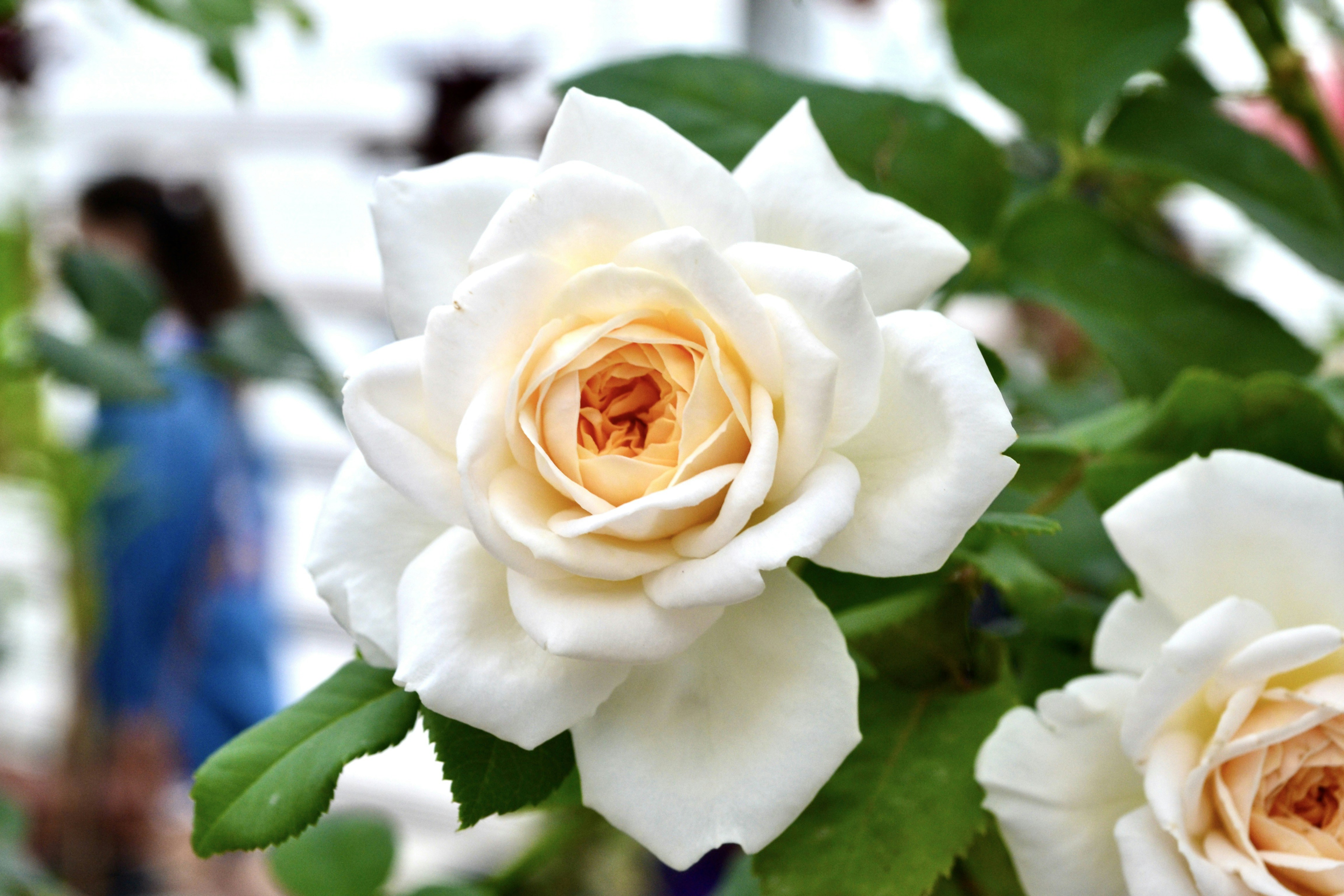 Photo by evgenslavin