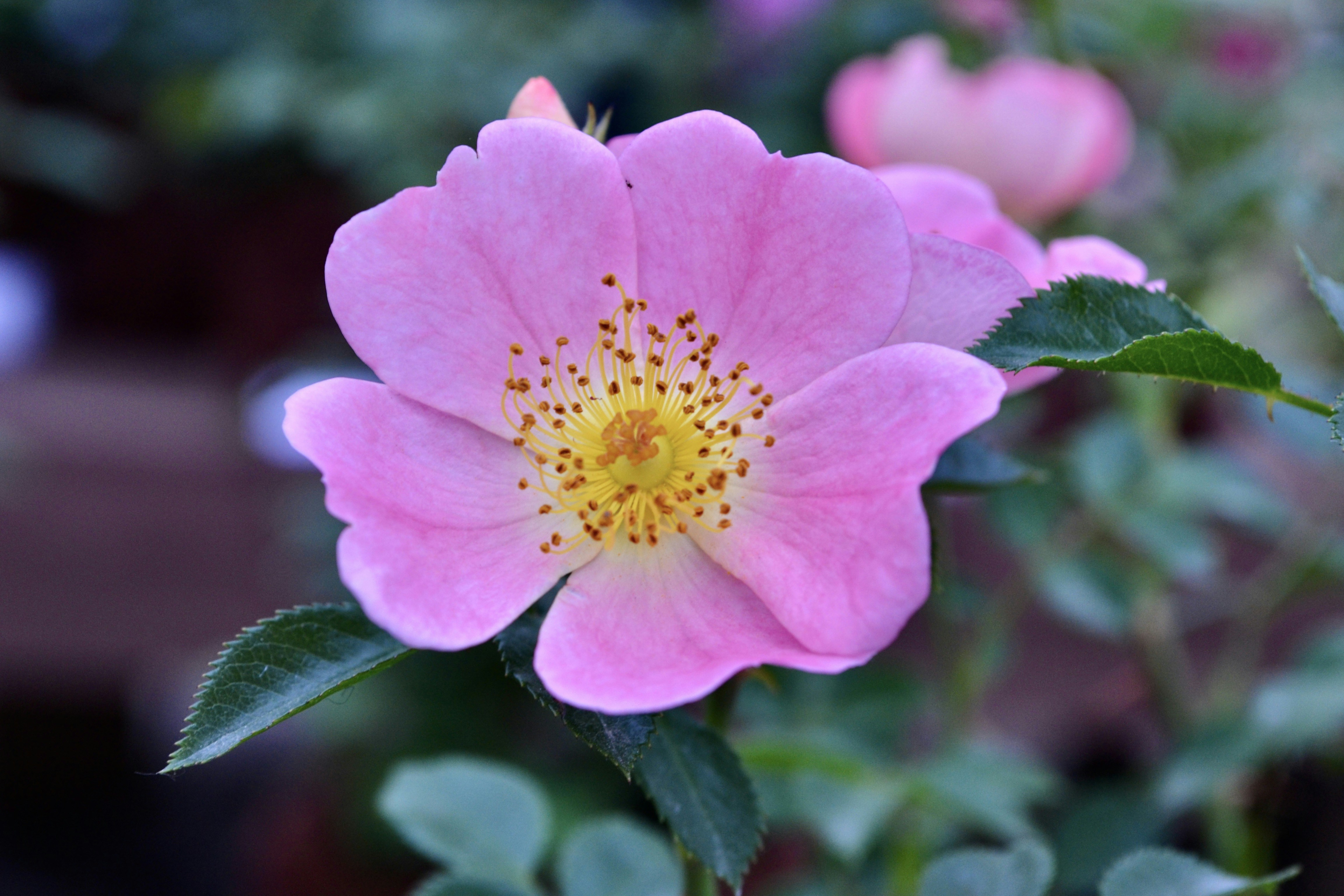 Photo by evgenslavin