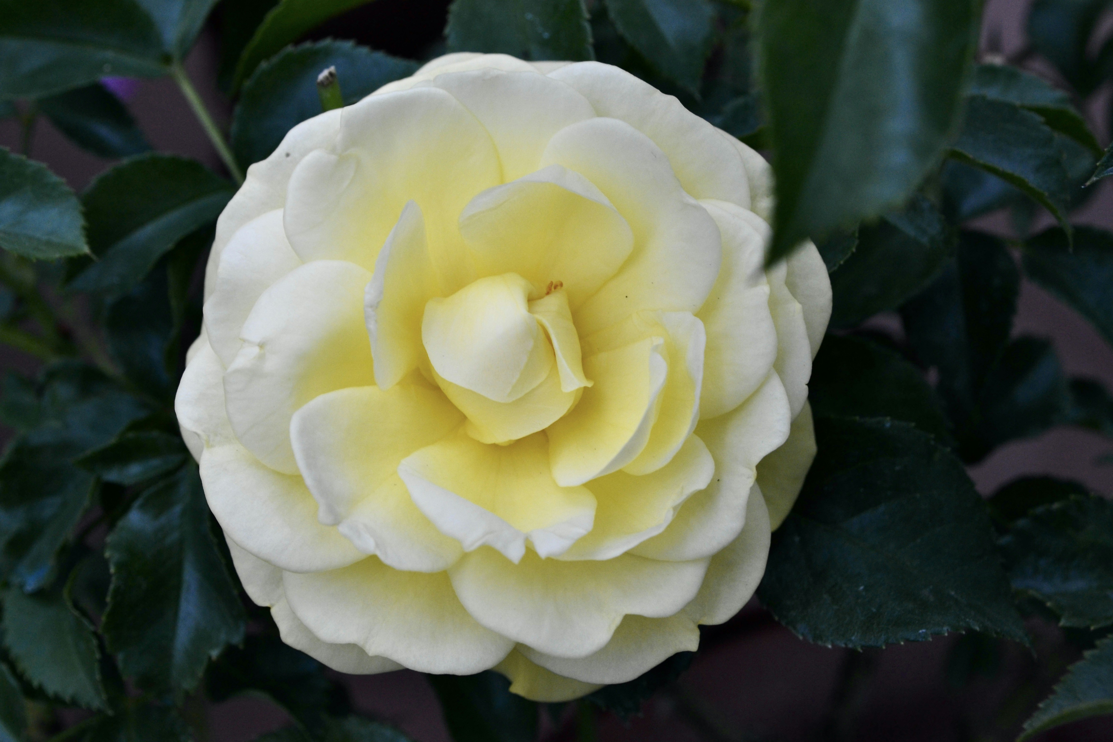 Photo by evgenslavin