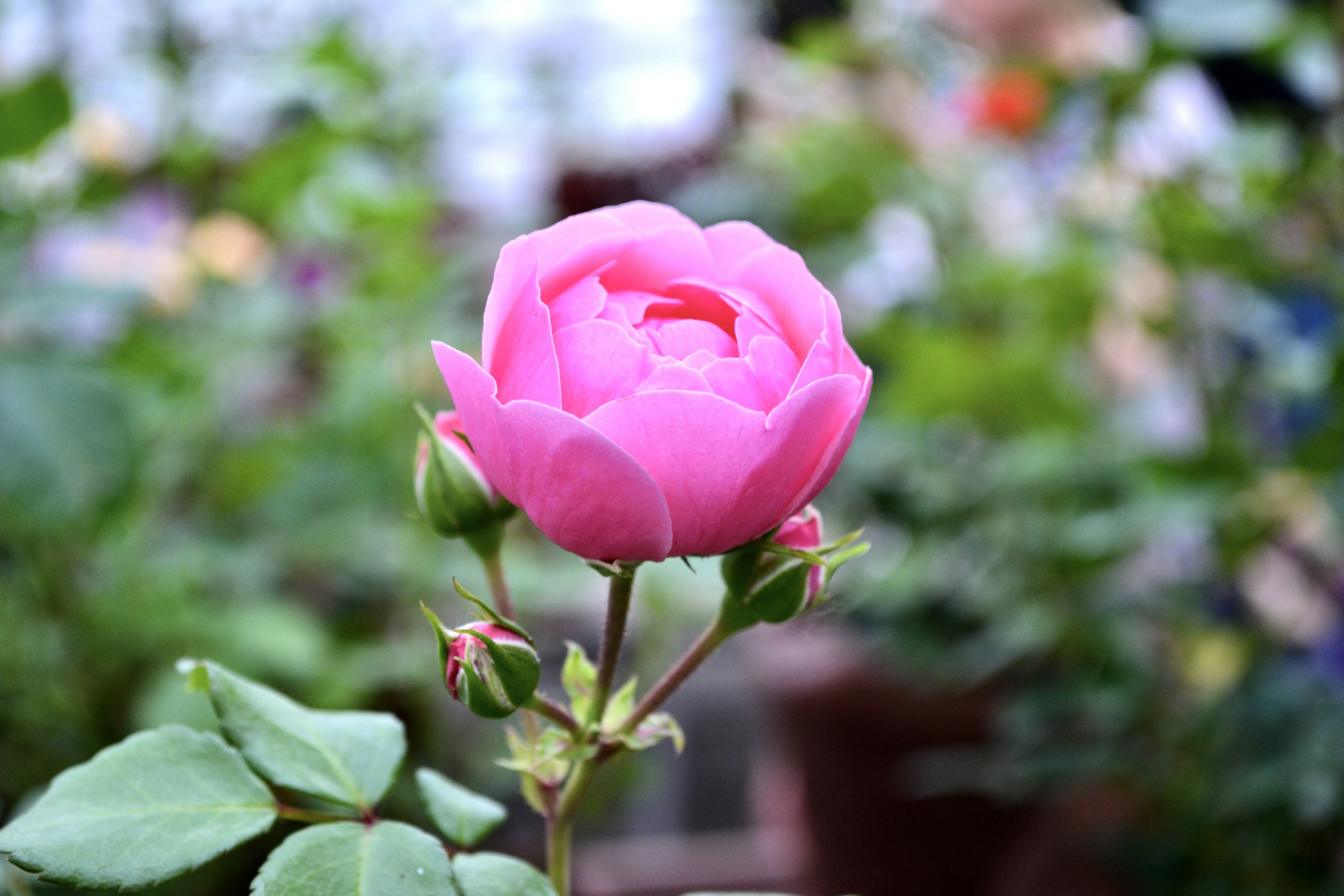 Photo by evgenslavin