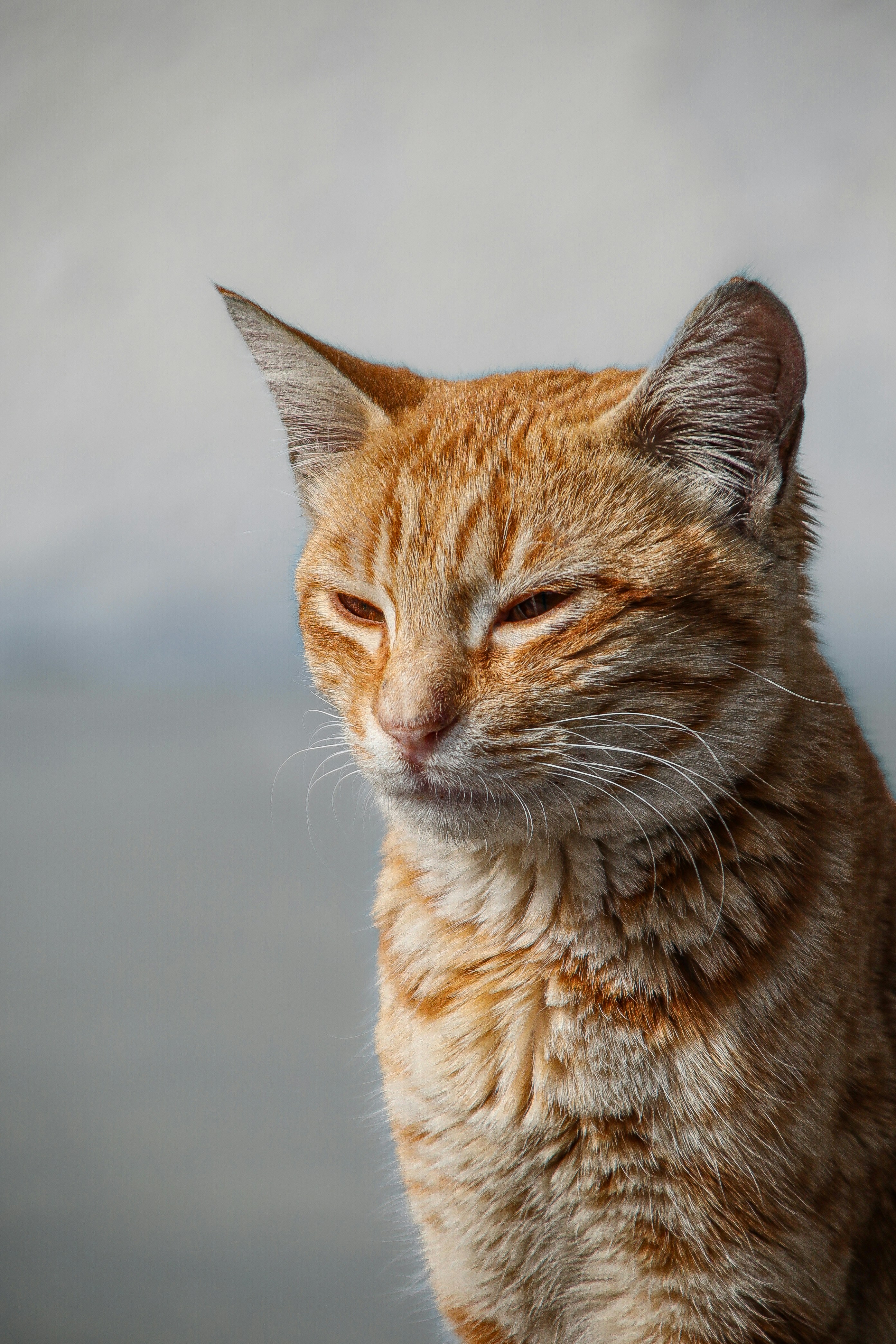 Photo by tommasoubezio