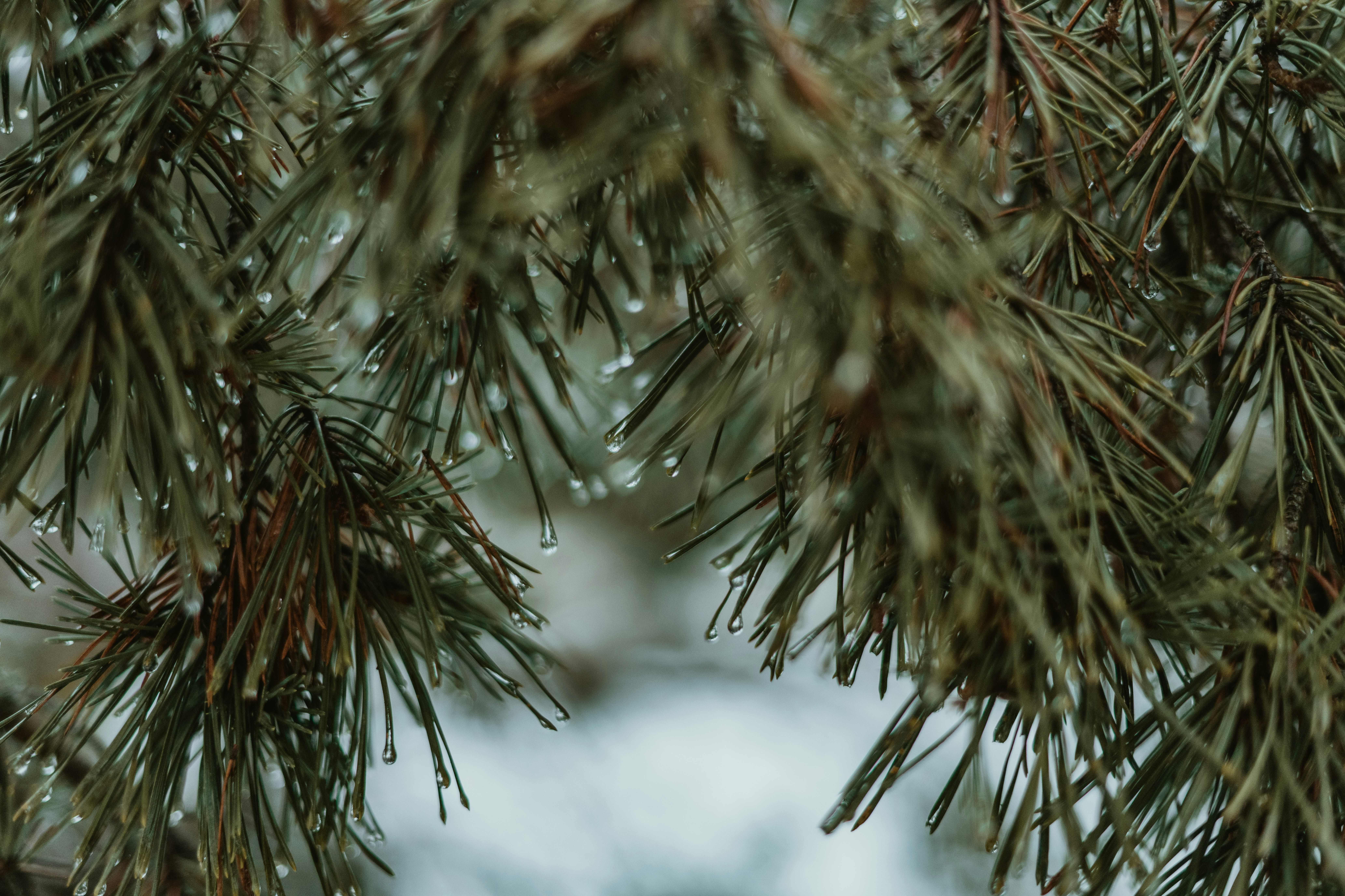 Photo by anitaaustvika