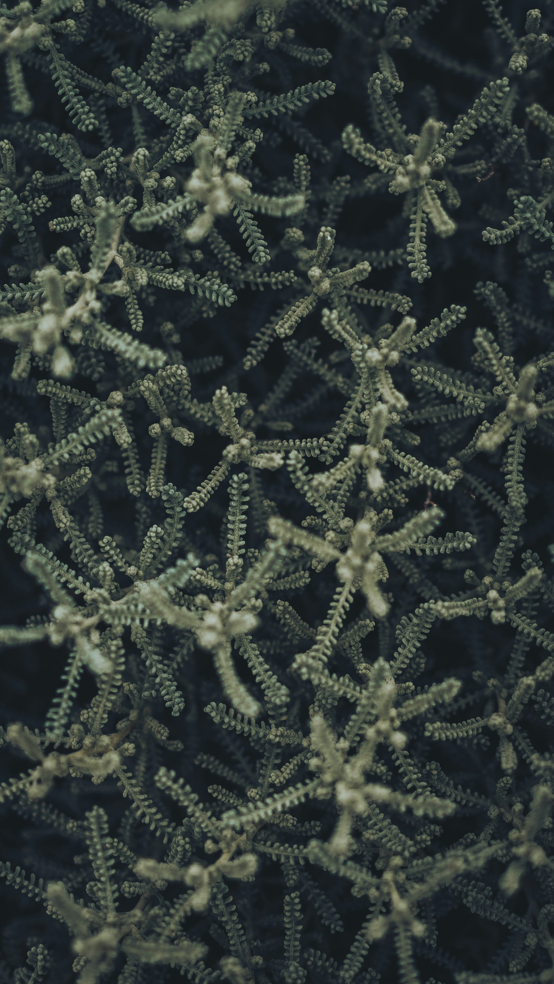 Photo by lizagolyarchuk