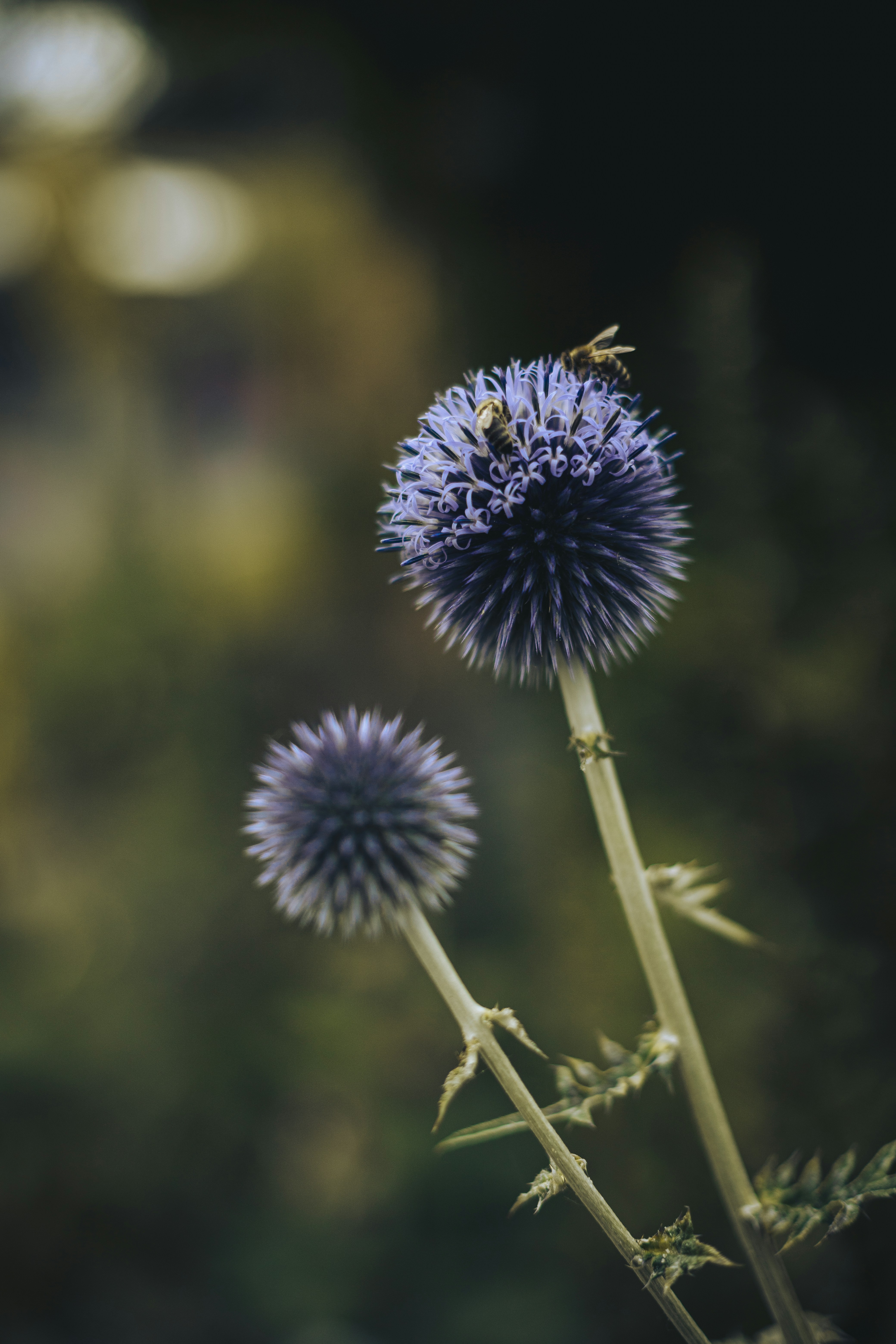 Photo by lizagolyarchuk