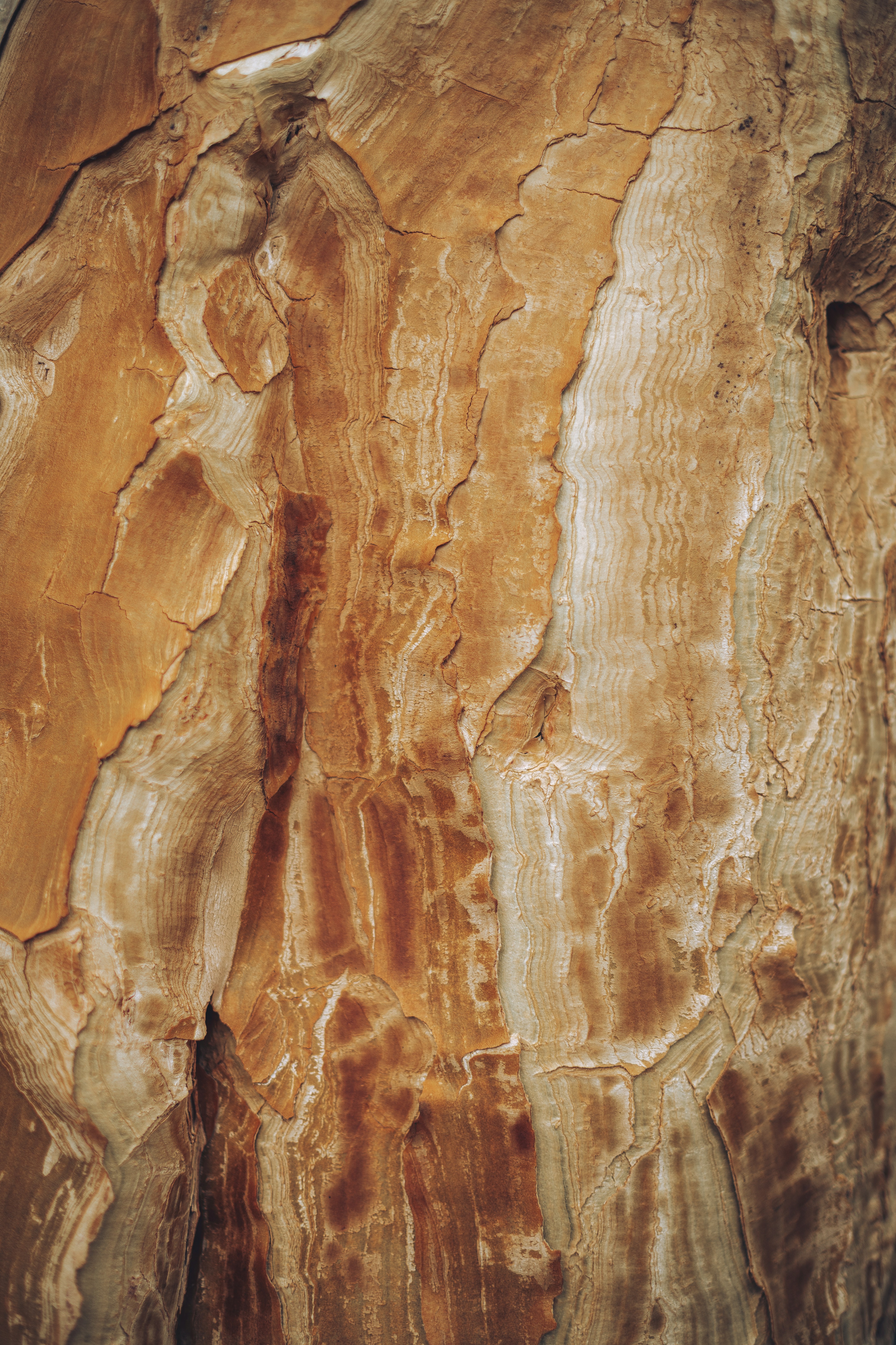 Photo by lizagolyarchuk