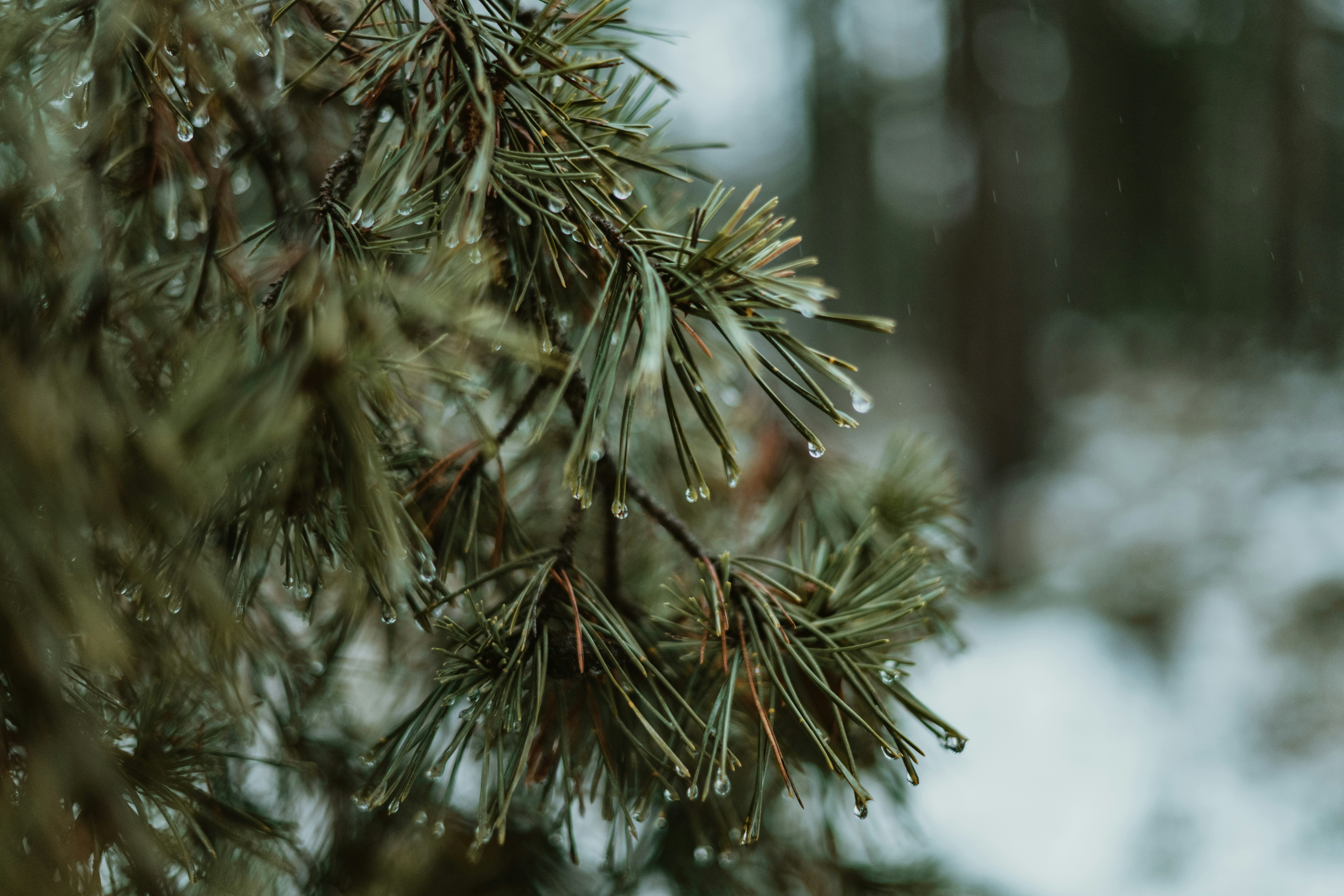 Photo by anitaaustvika