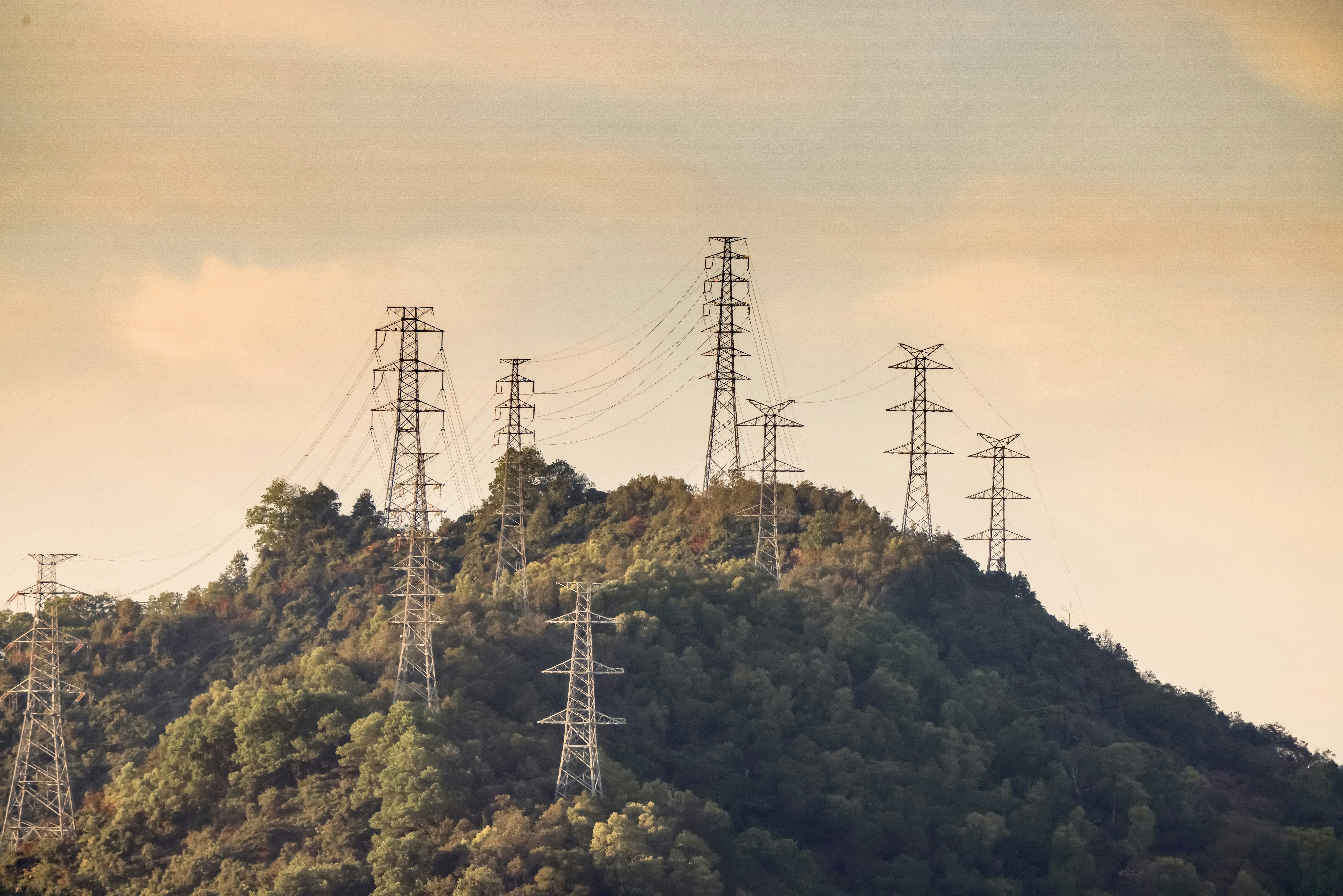 Photo by dickenslin76