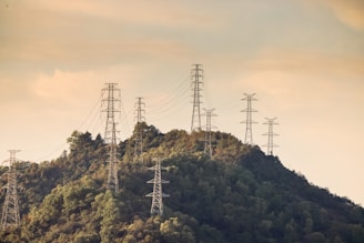 Several tall electricity pylons are positioned along a tree-covered hill, with a clear sky in the background. The setting gives a sense of infrastructure blending with natural elements.
