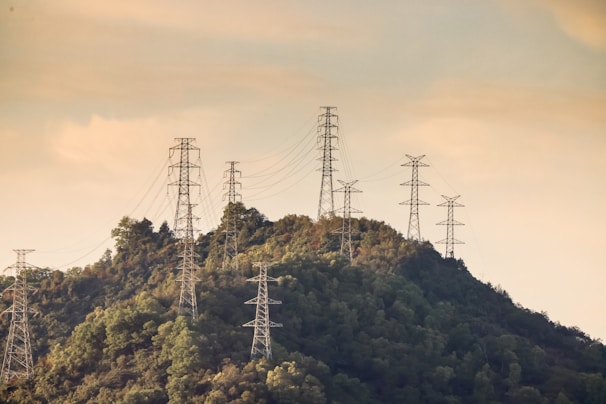 Several tall electricity pylons are positioned along a tree-covered hill, with a clear sky in the background. The setting gives a sense of infrastructure blending with natural elements.