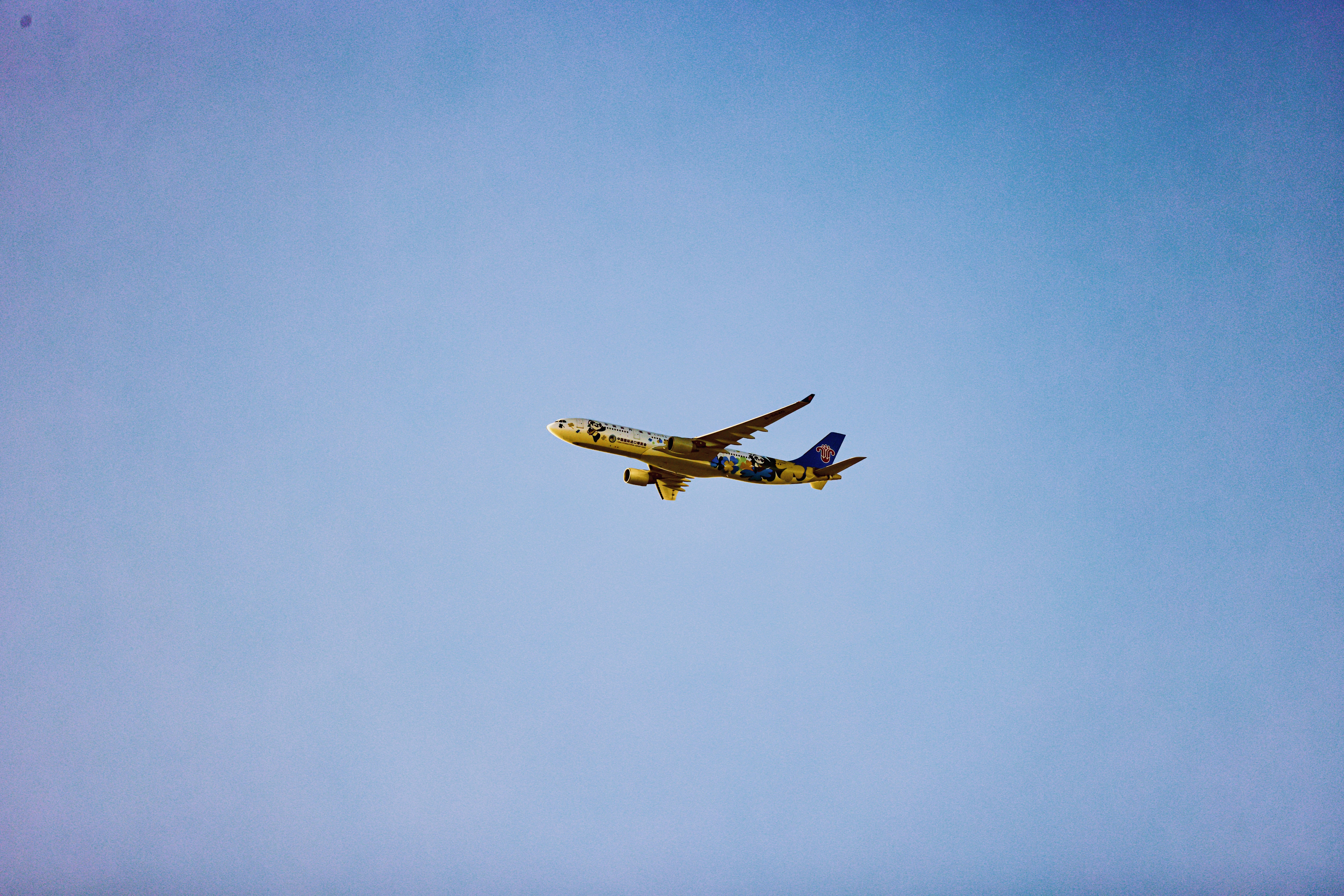 Photo by dickenslin76