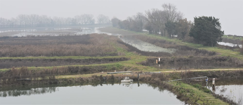 a small body of water surrounded by a lush green field