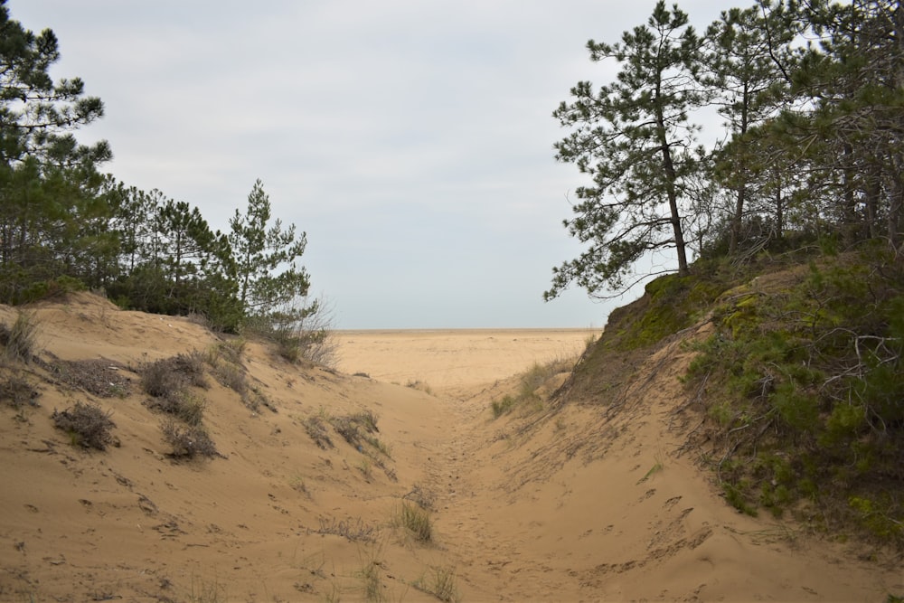 a dirt path in the middle of a sandy area