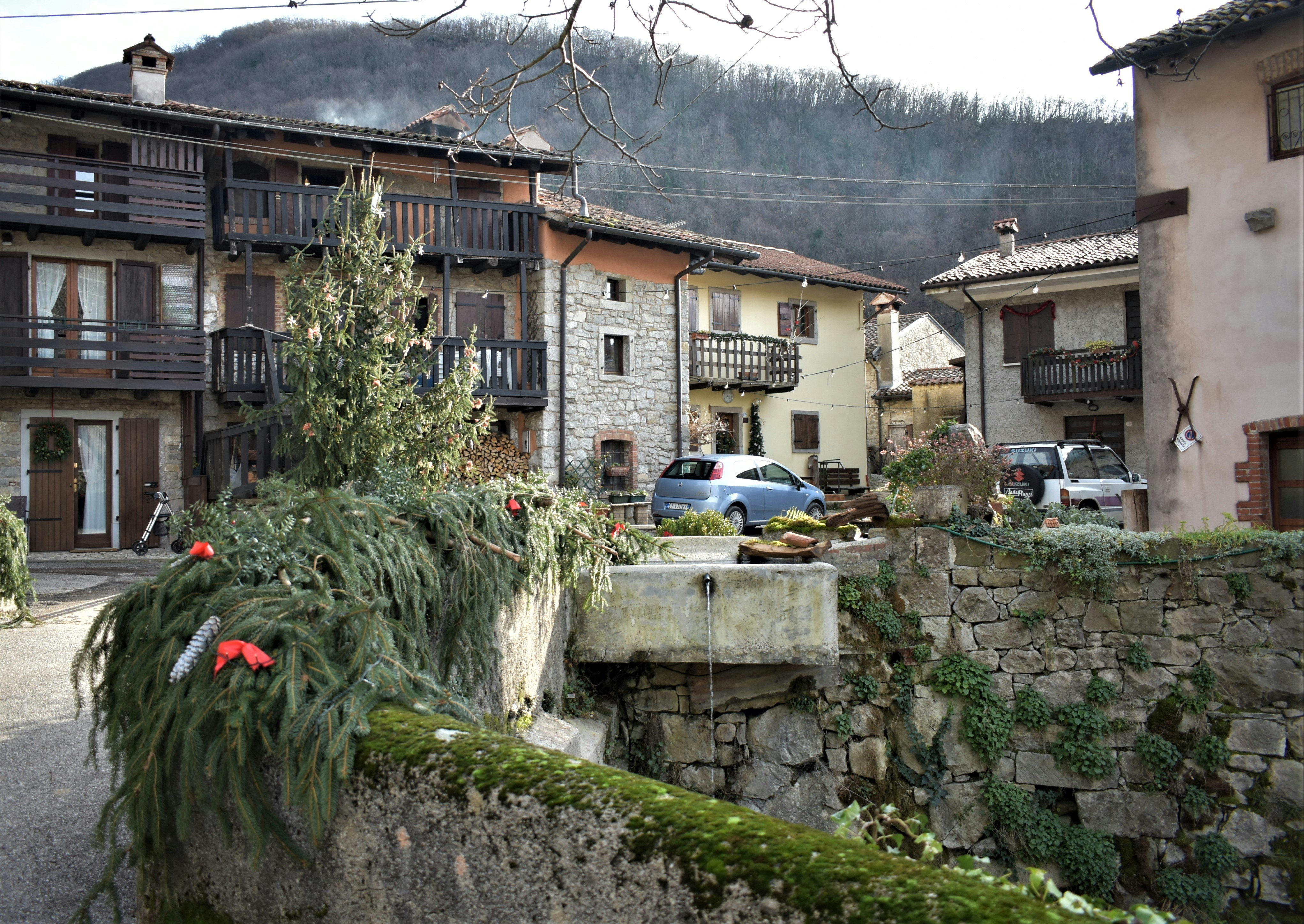 Photo by oxganggreen