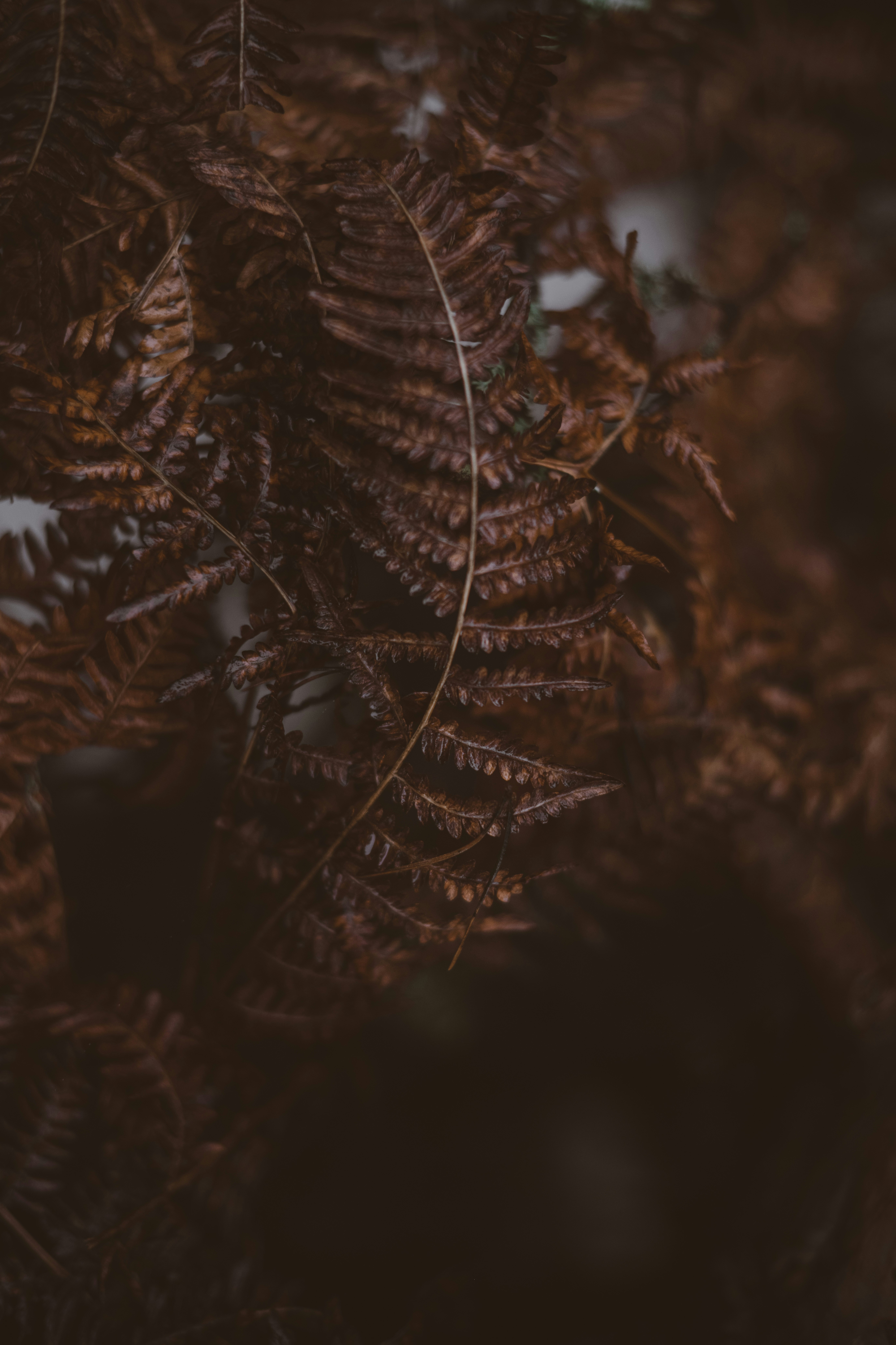 Photo by anitaaustvika