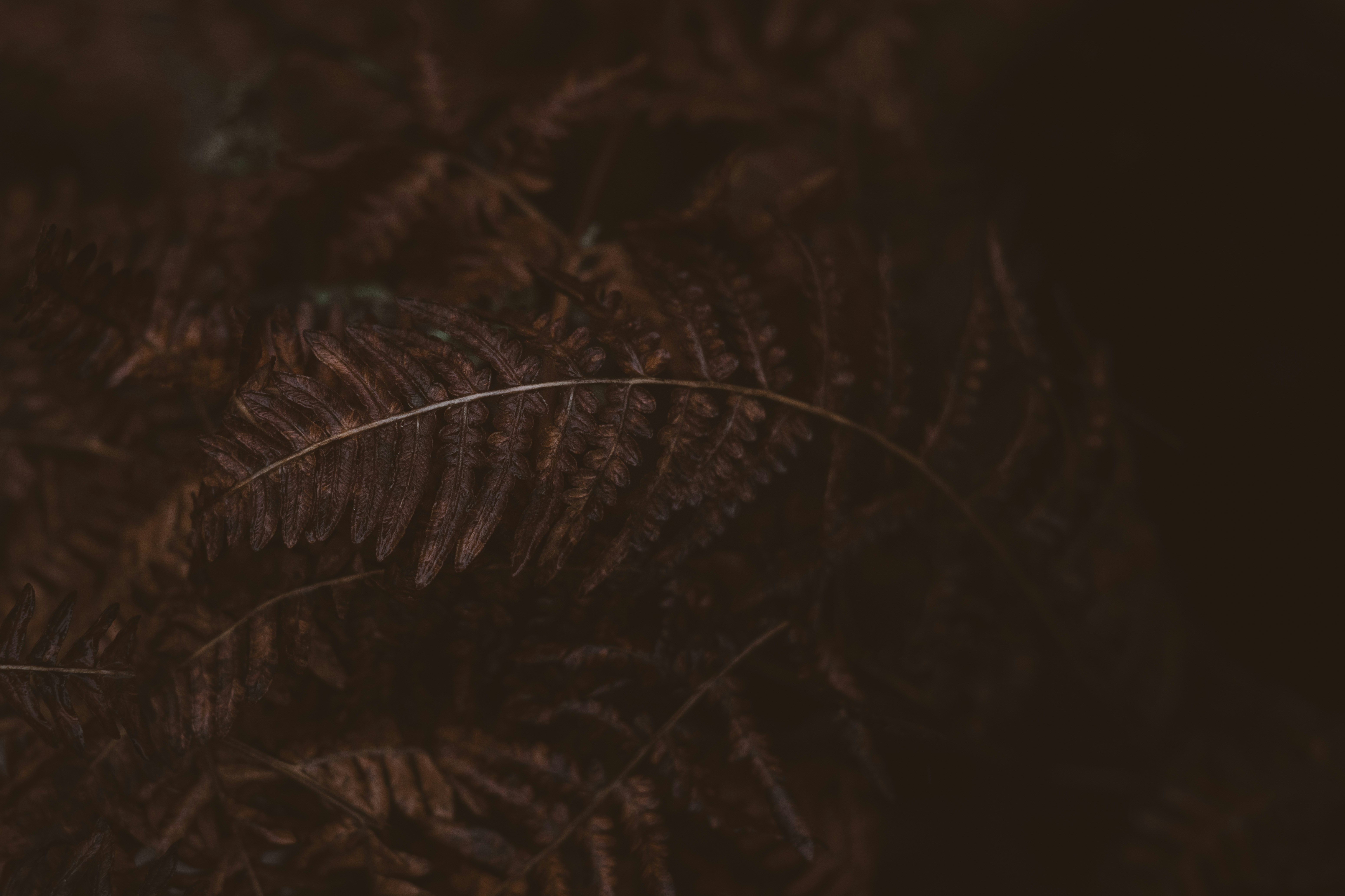 Photo by anitaaustvika