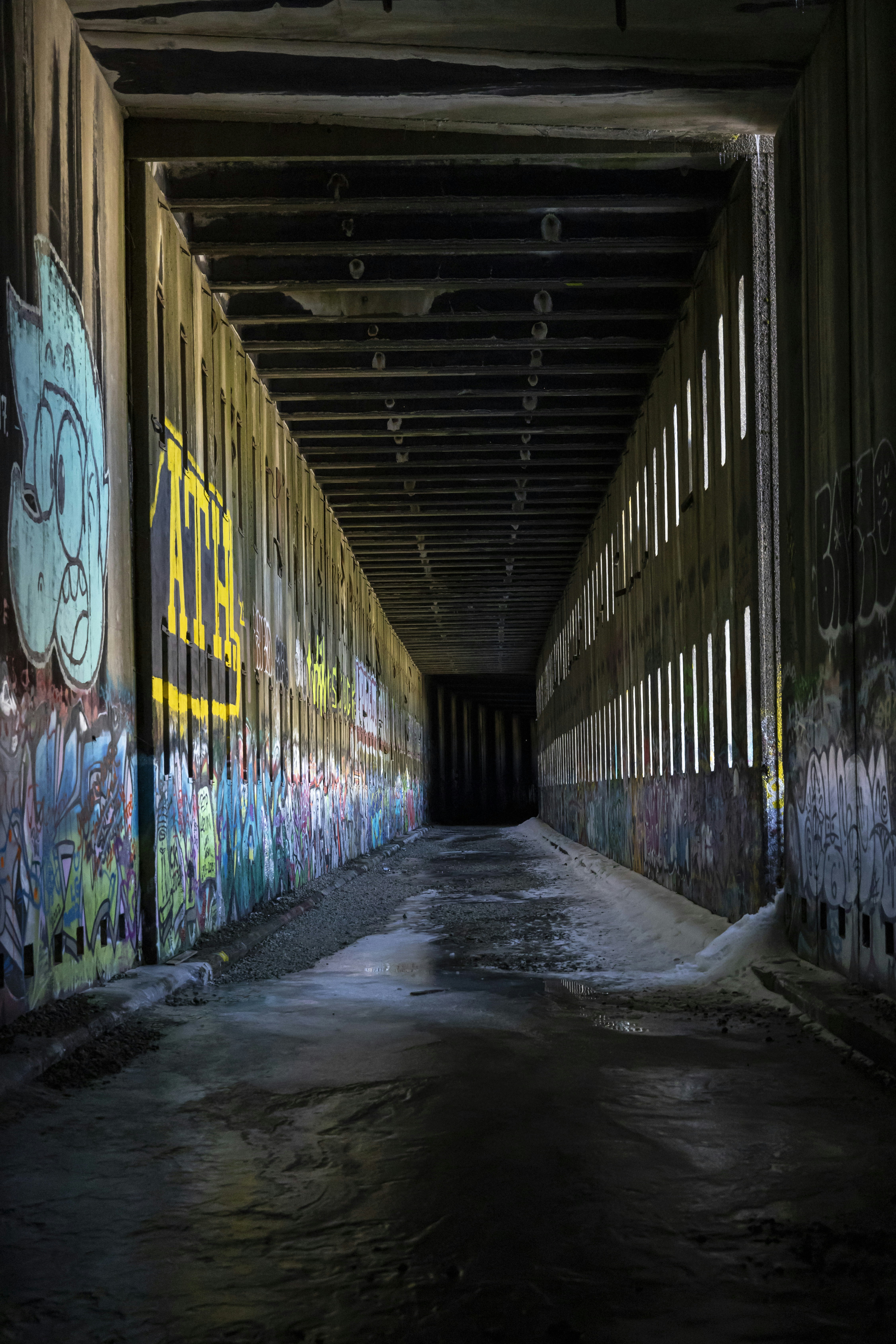 Photo by leo_visions_