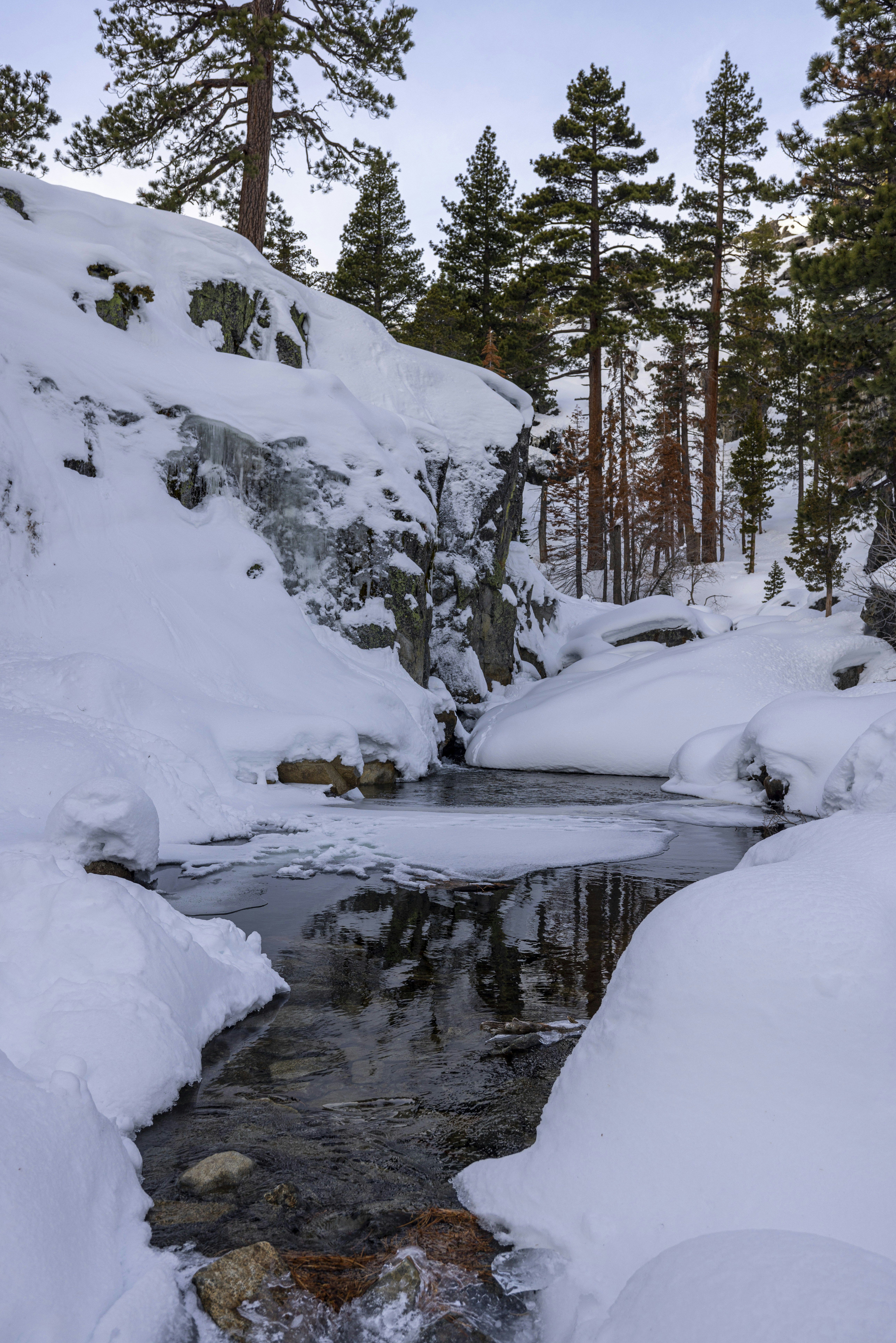 Photo by leo_visions_