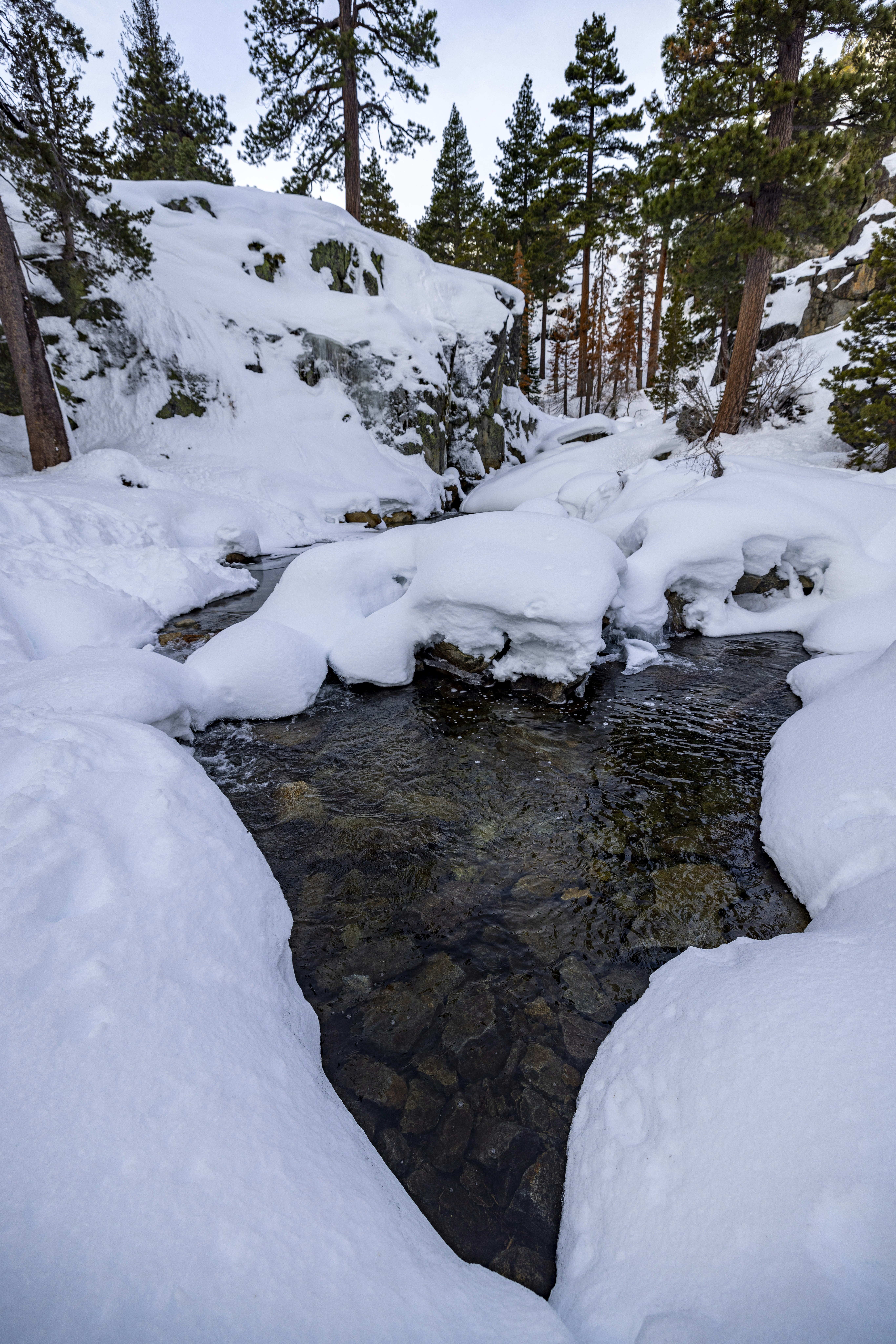 Photo by leo_visions_