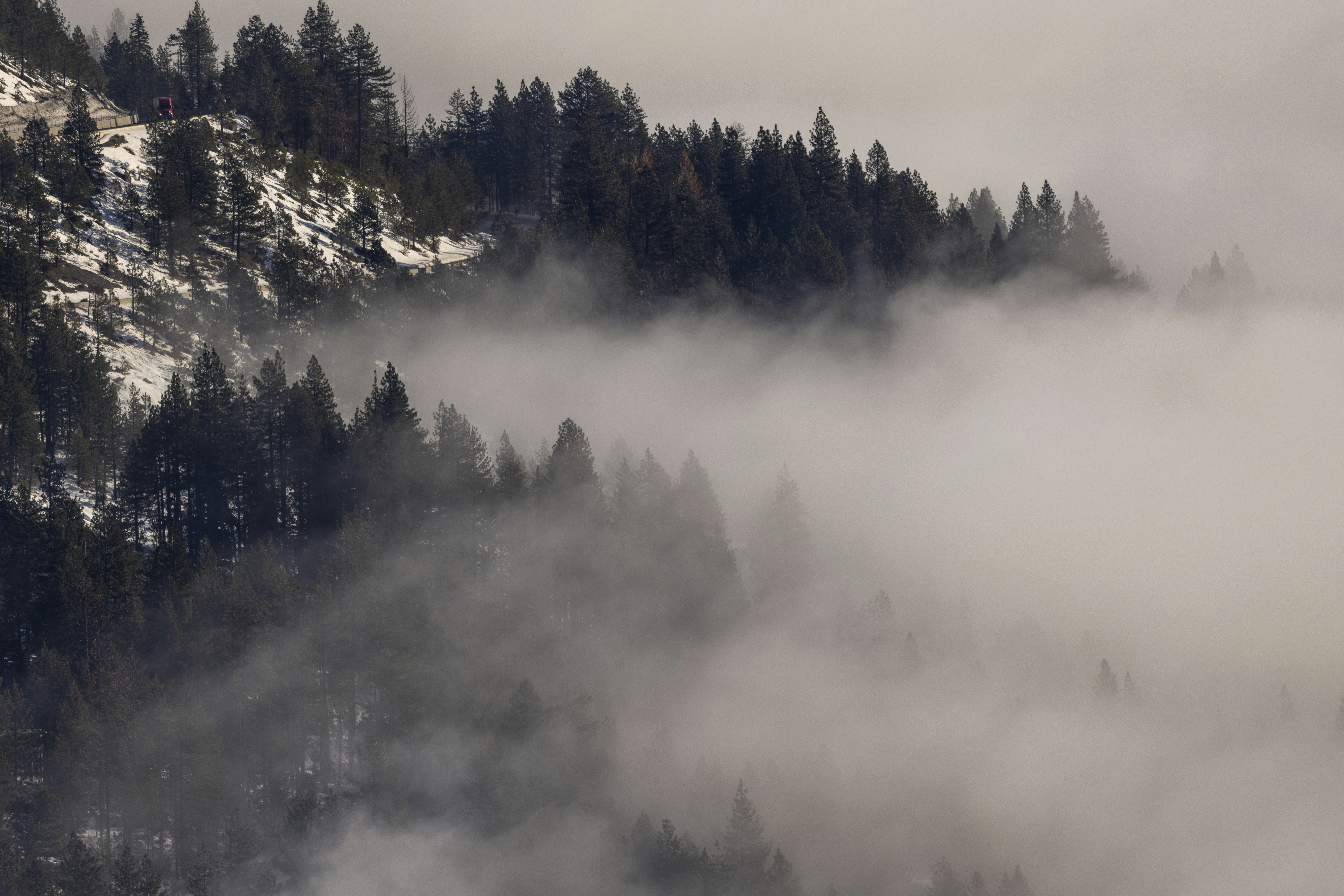 Photo by leo_visions_