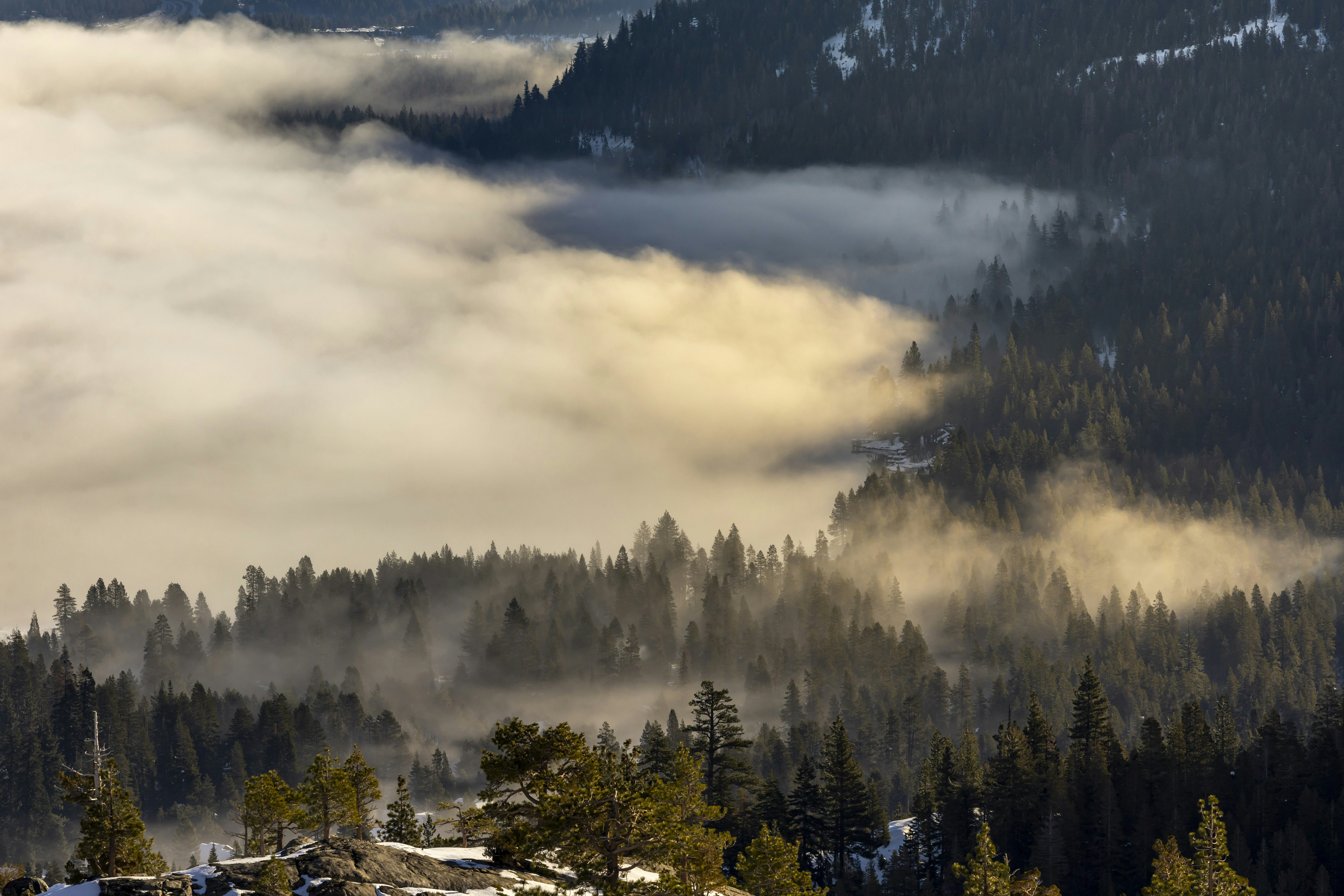 Photo by leo_visions_