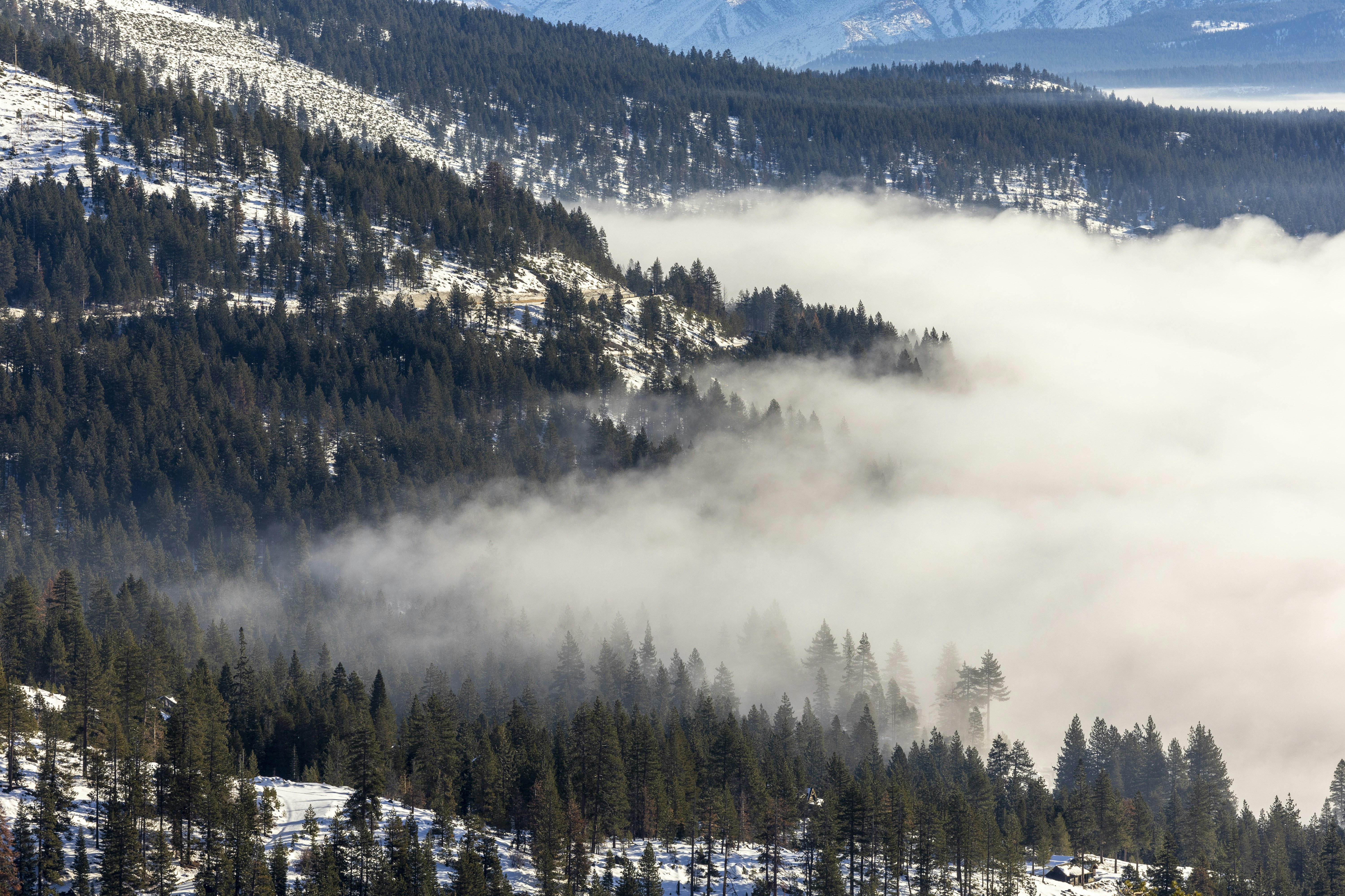 Photo by leo_visions_