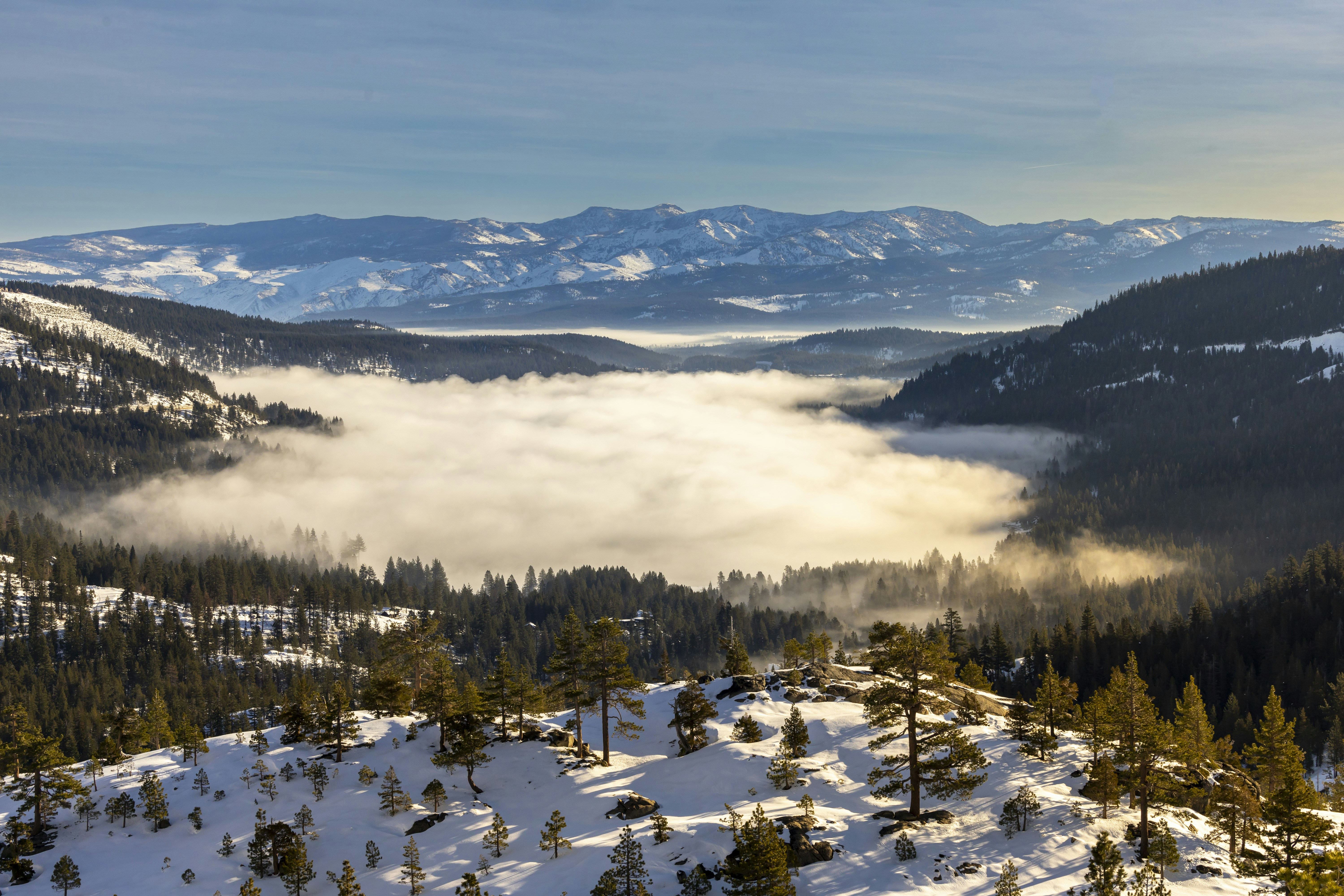 Photo by leo_visions_