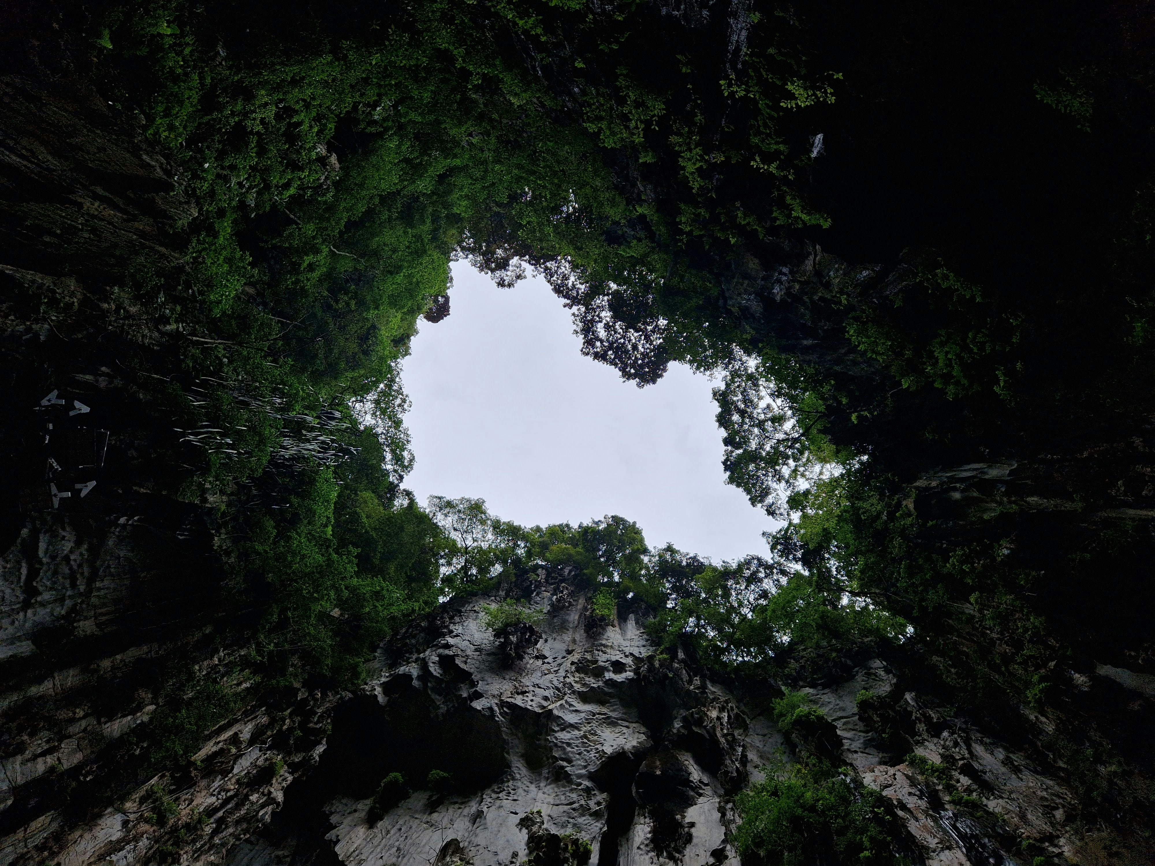 a view of a forest looking up into the sky, Light source for a dark cave