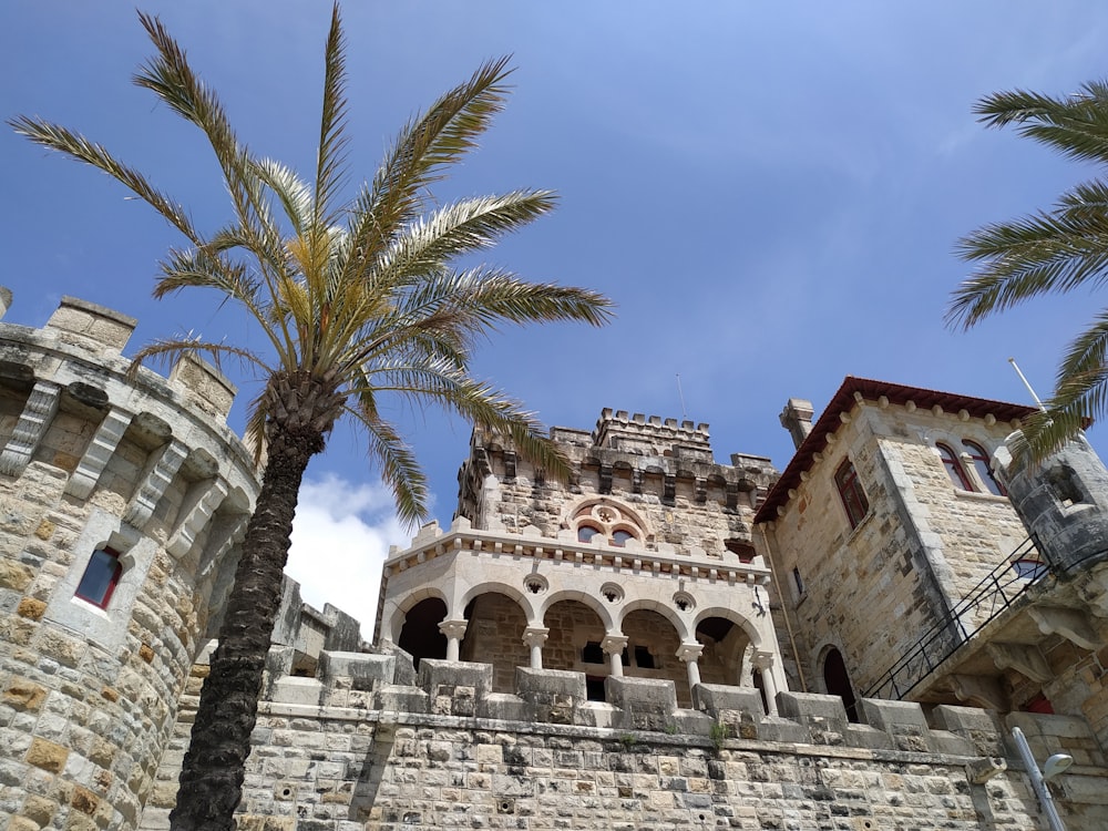 a palm tree in front of a castle