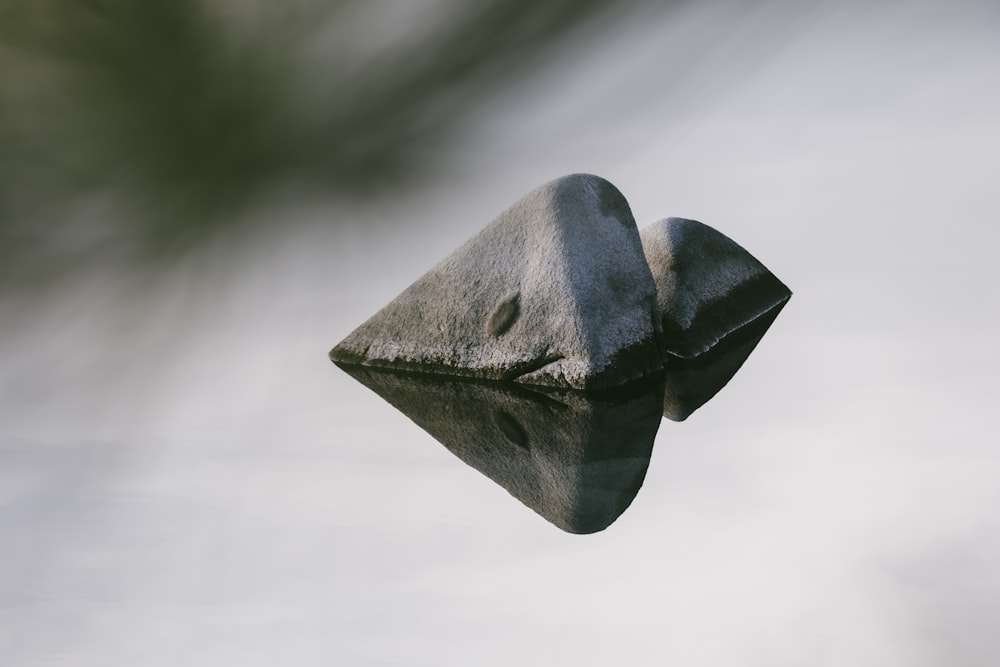 a stone object floating on top of a body of water